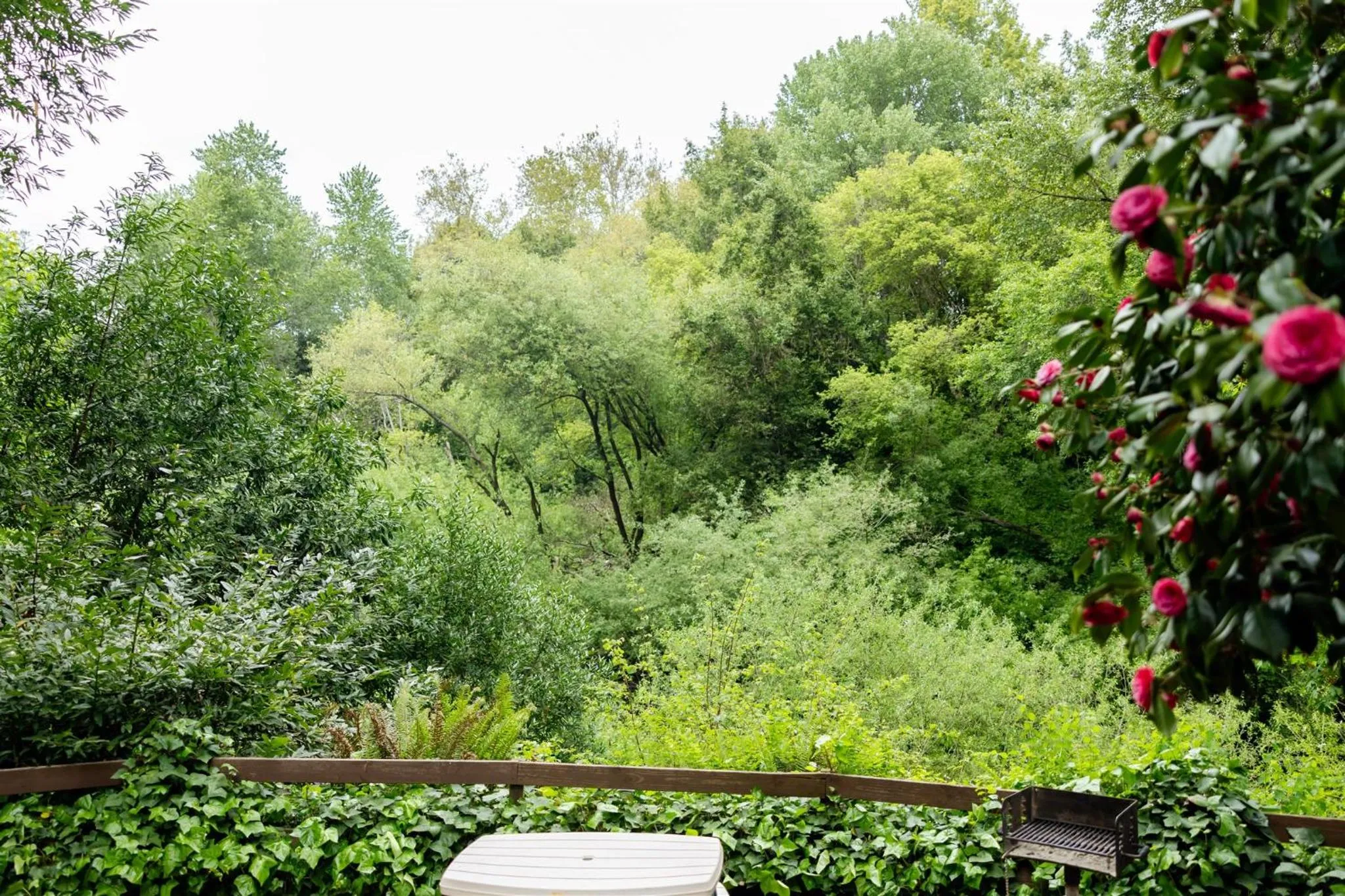 View (from property/room) in Fern River Resort