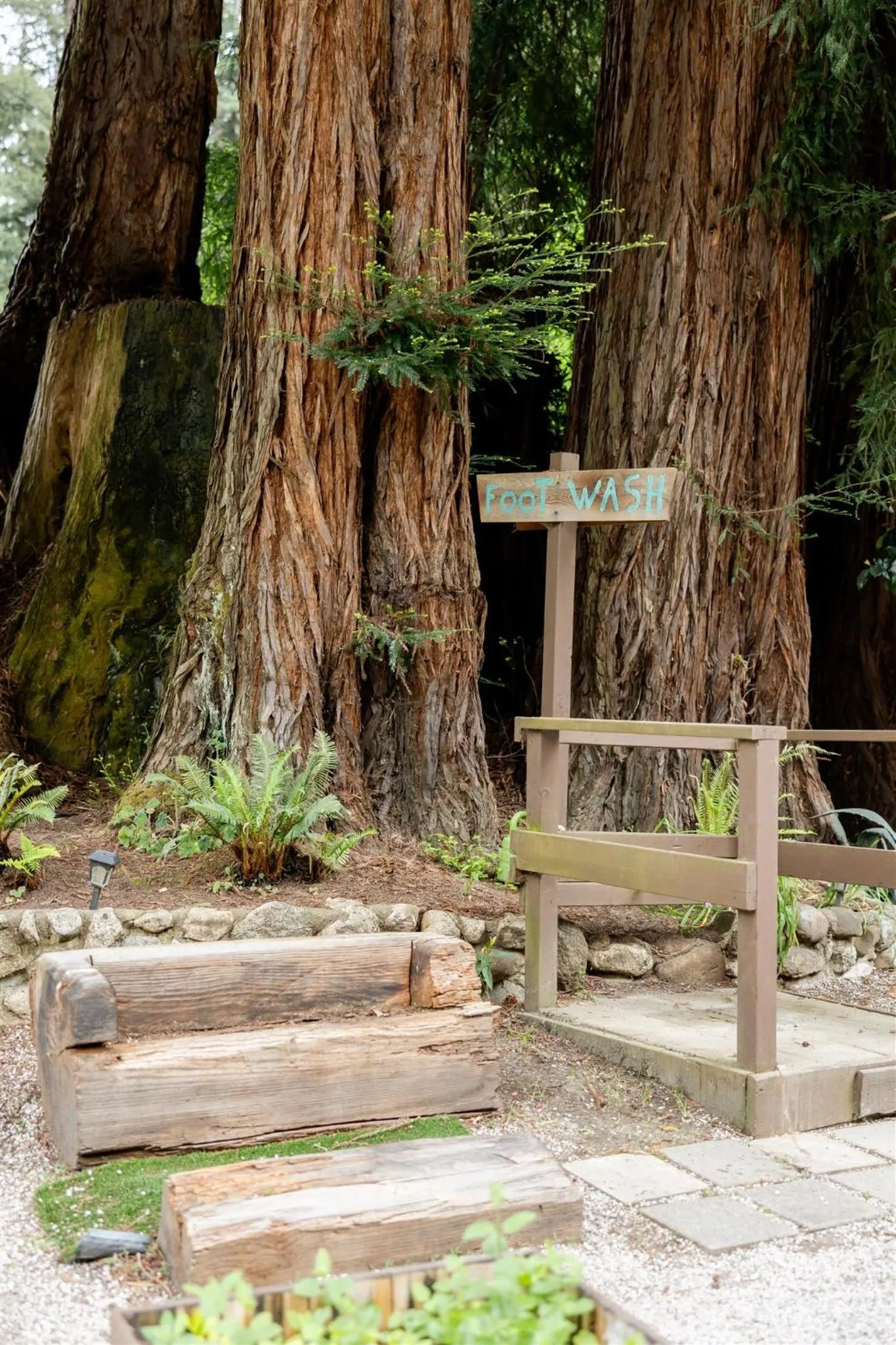View (from property/room) in Fern River Resort