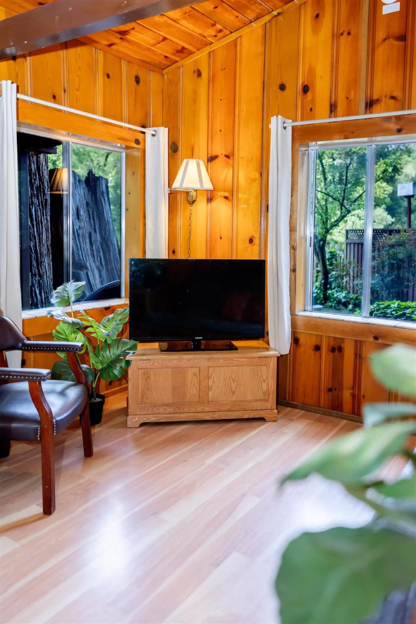 TV and multimedia in Fern River Resort