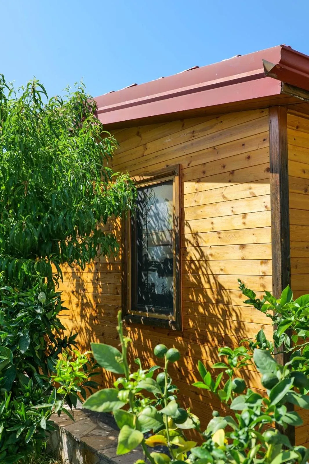 Garden in Bunec Beach Resort