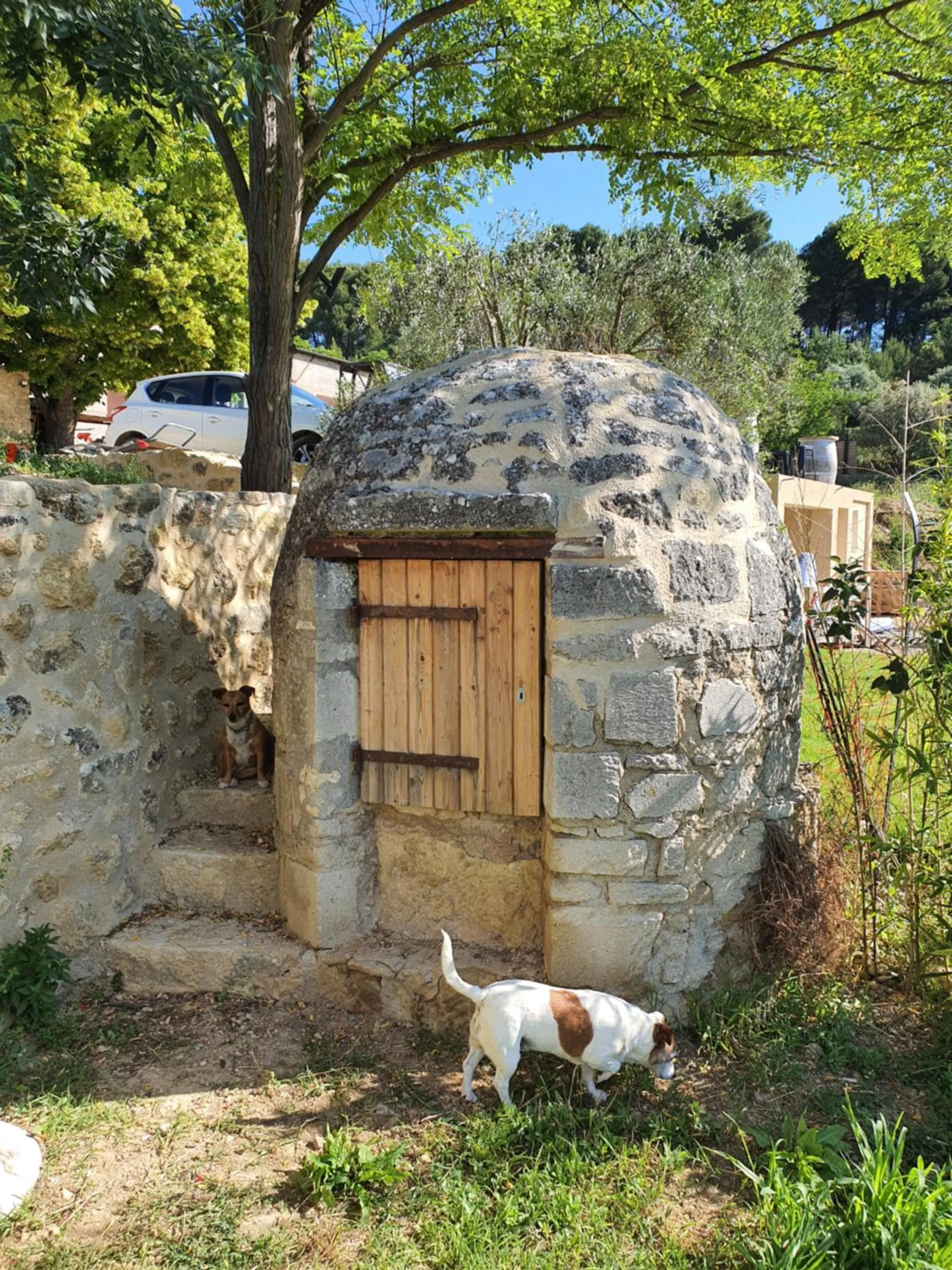 Locations insolites "vie en plein air" cabane et tipi Bastide Bellugue maison d'hôtes reseau Bienvenue à la ferme à 3 mn de lourmarin
