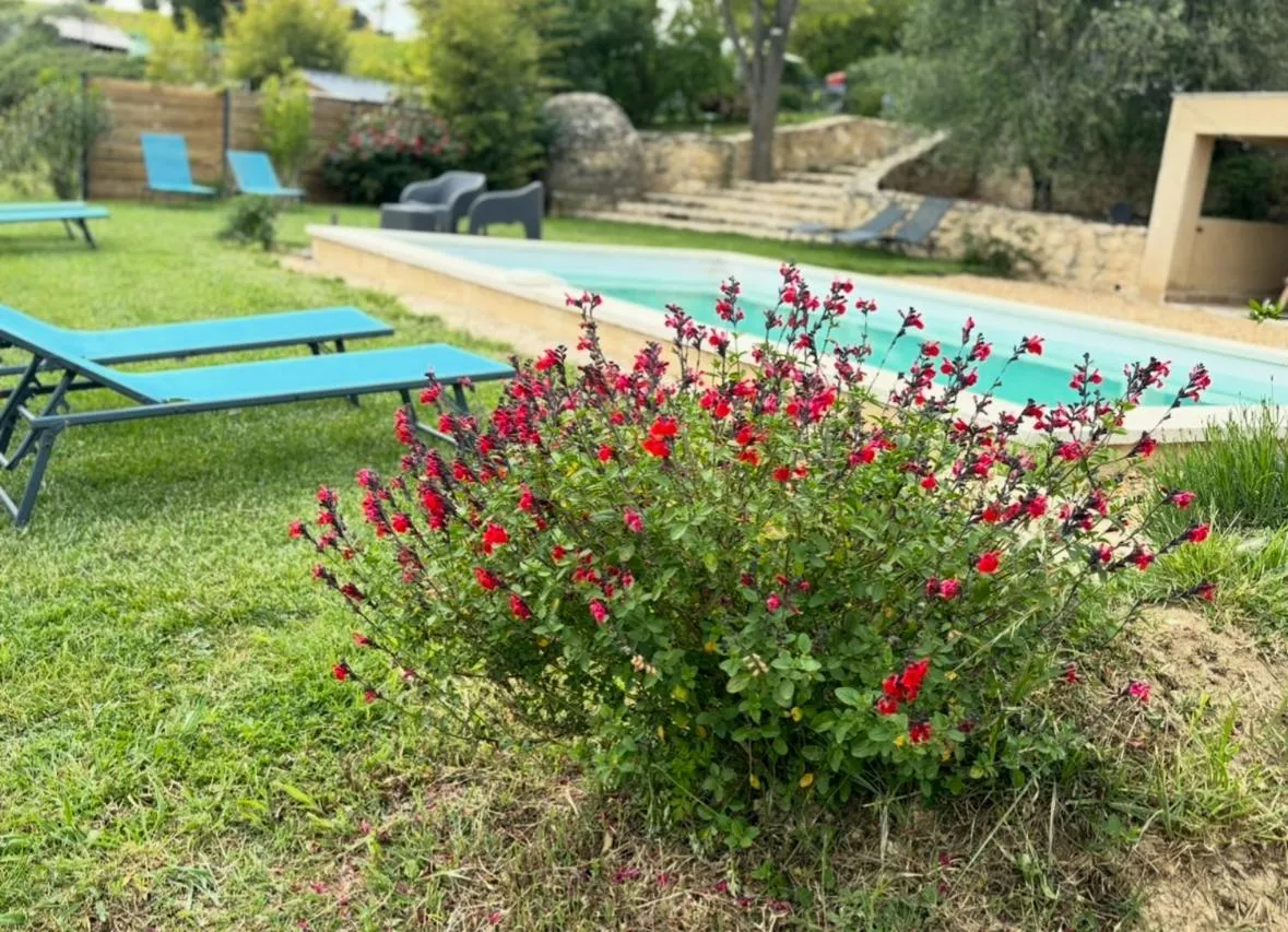 Locations insolites "vie en plein air" cabane et tipi Bastide Bellugue maison d'hôtes reseau Bienvenue à la ferme à 3 mn de lourmarin