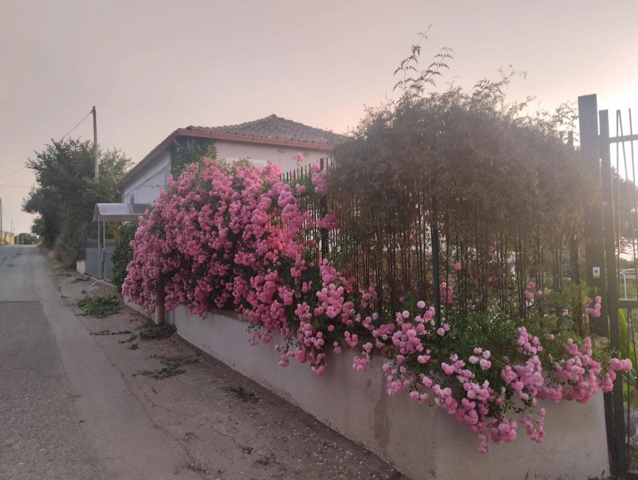 Property building in Al Passo di Thalia