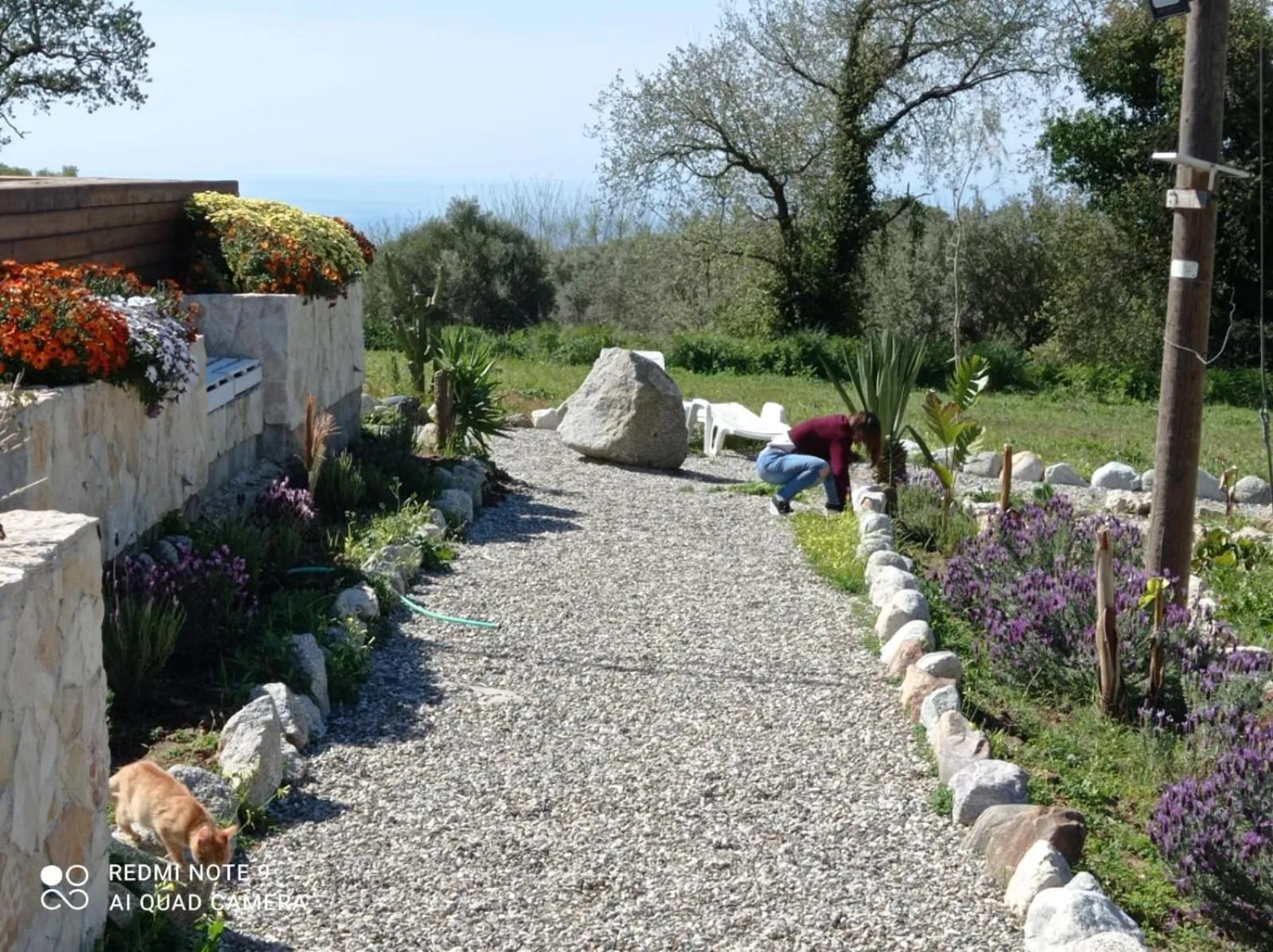 Garden in Al Passo di Thalia