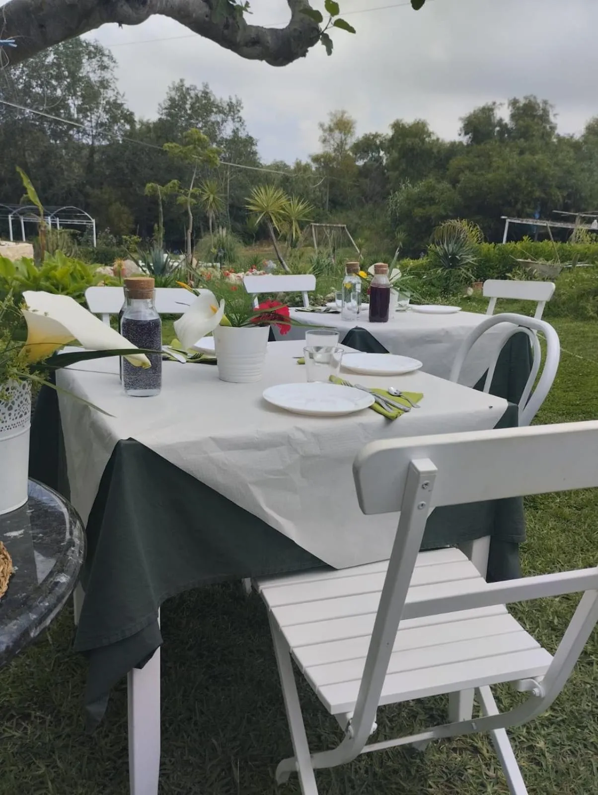 Garden in Al Passo di Thalia