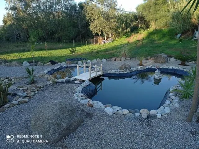 Garden in Al Passo di Thalia