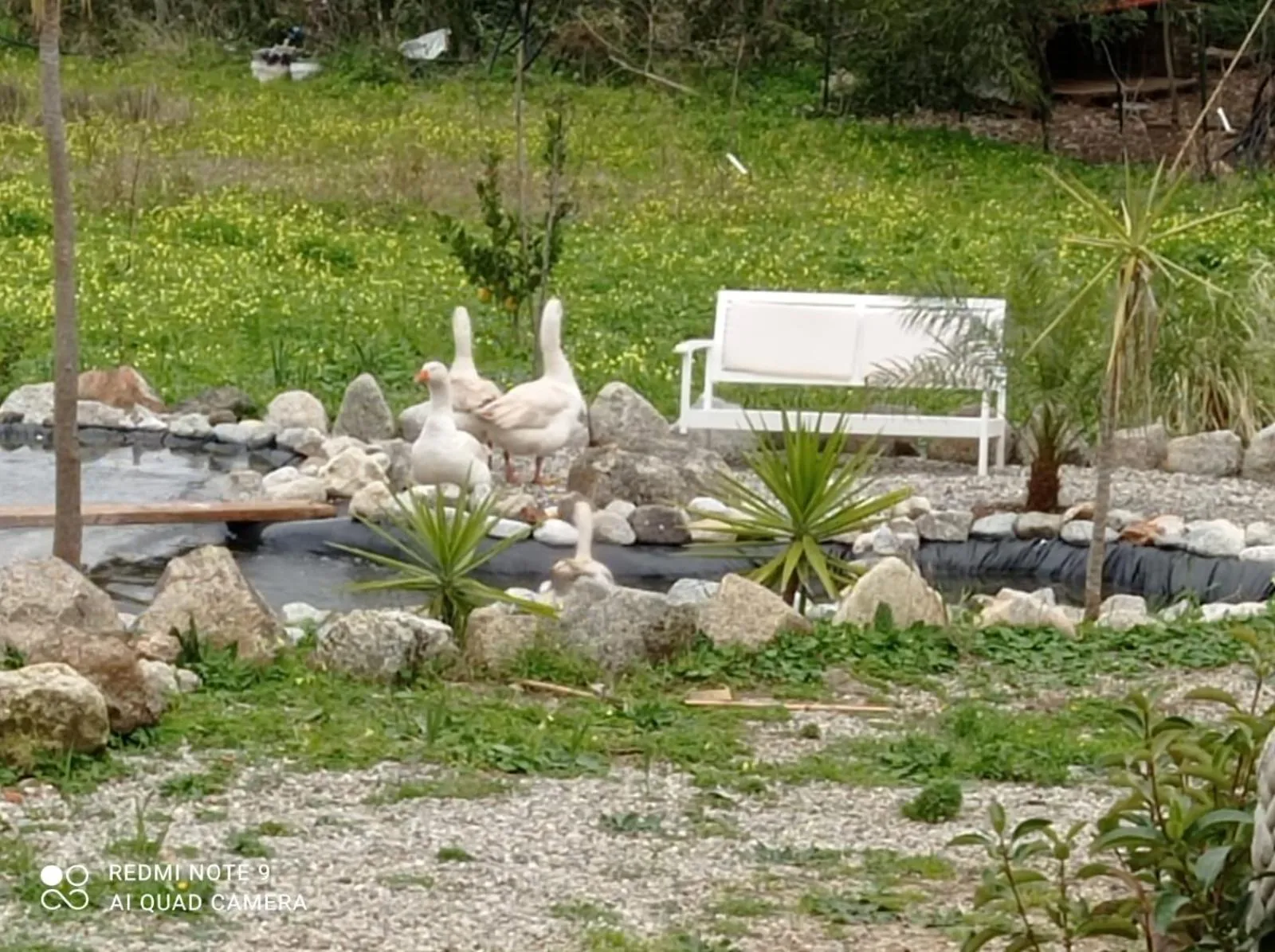 Garden in Al Passo di Thalia