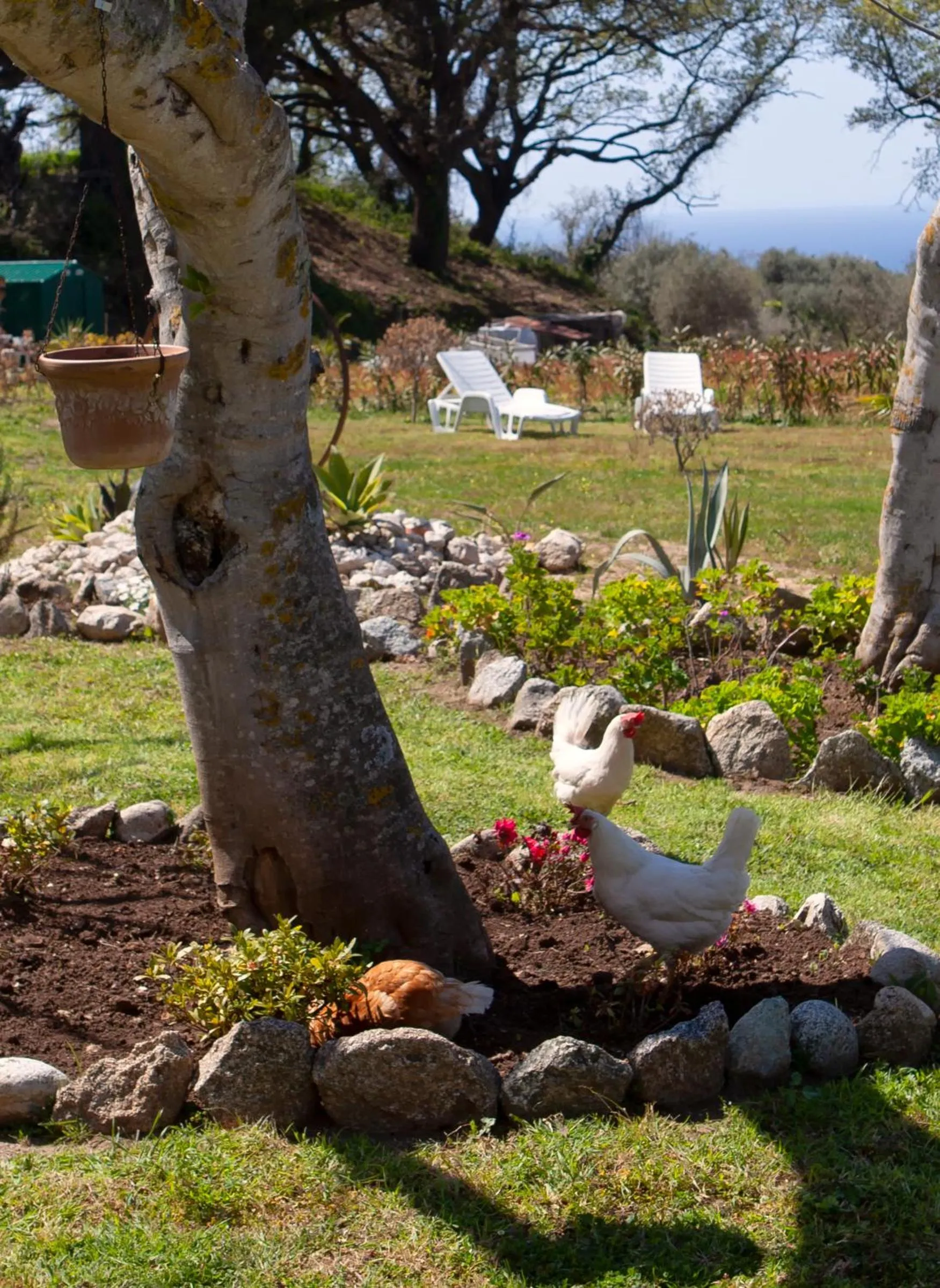 Garden in Al Passo di Thalia