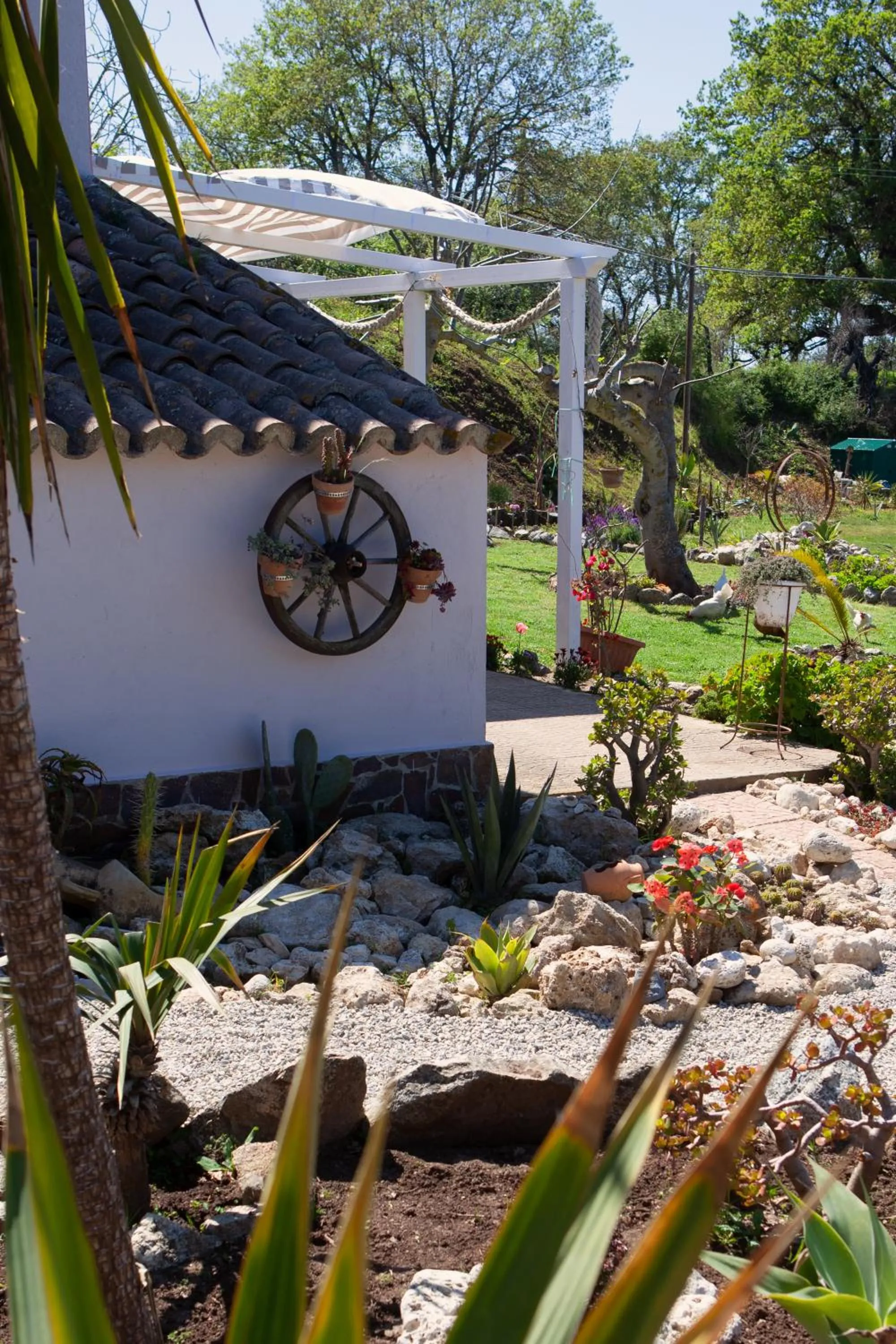 Garden in Al Passo di Thalia