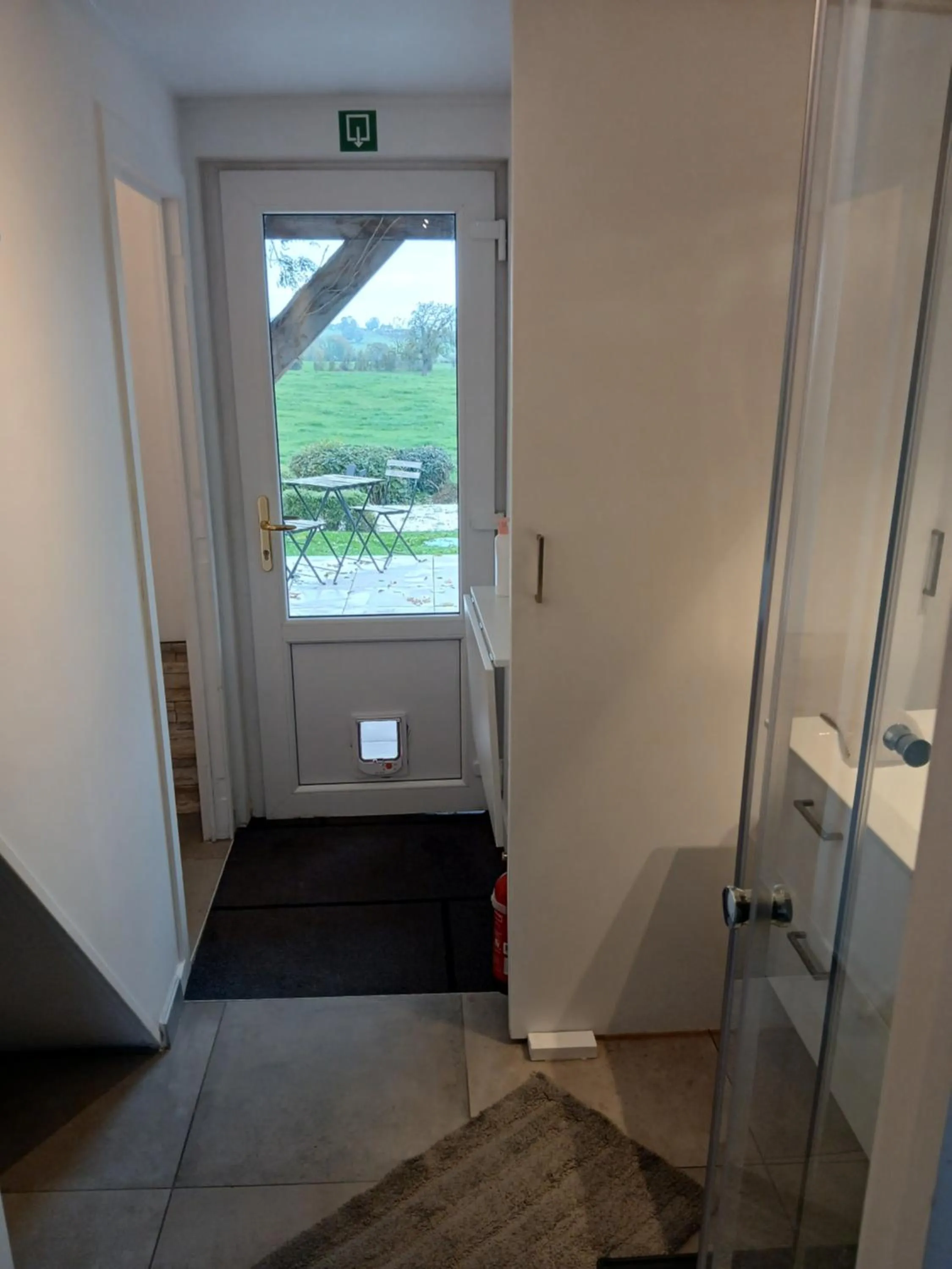 Aux pieds des vaches