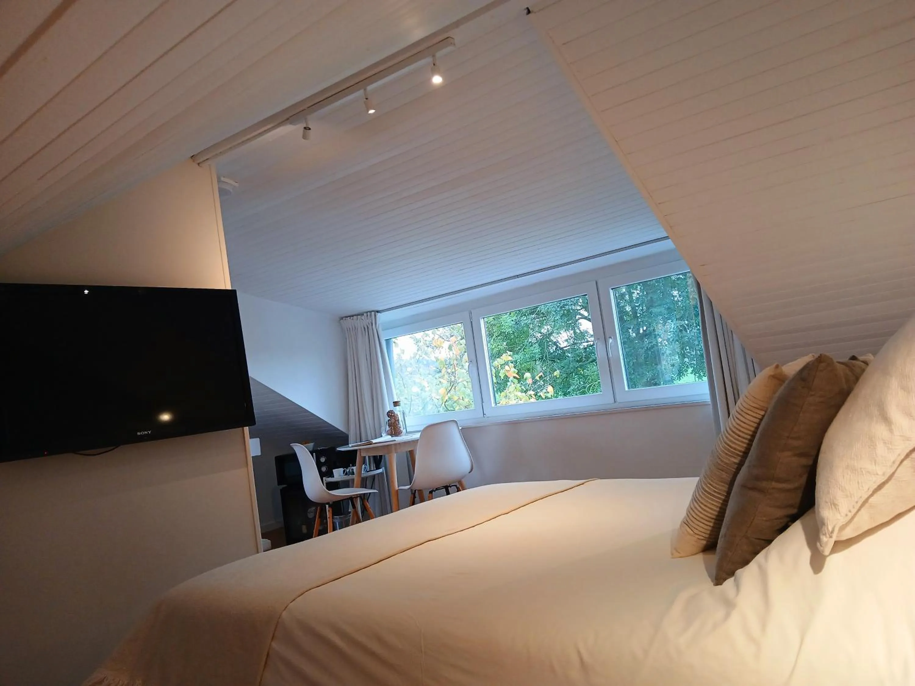 Aux pieds des vaches