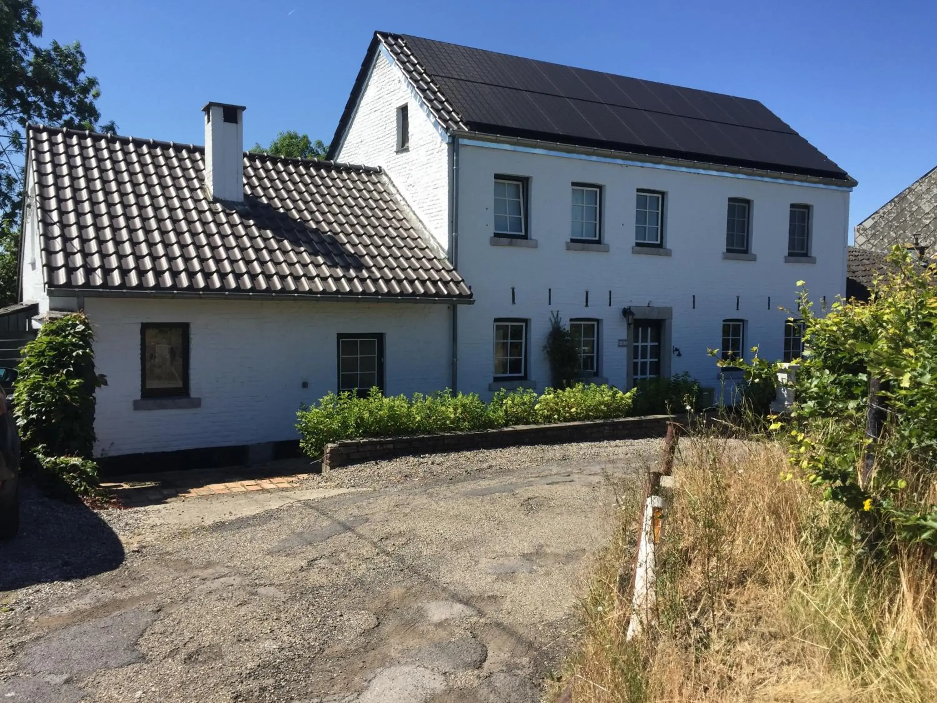 Aux pieds des vaches Aux pieds des vaches