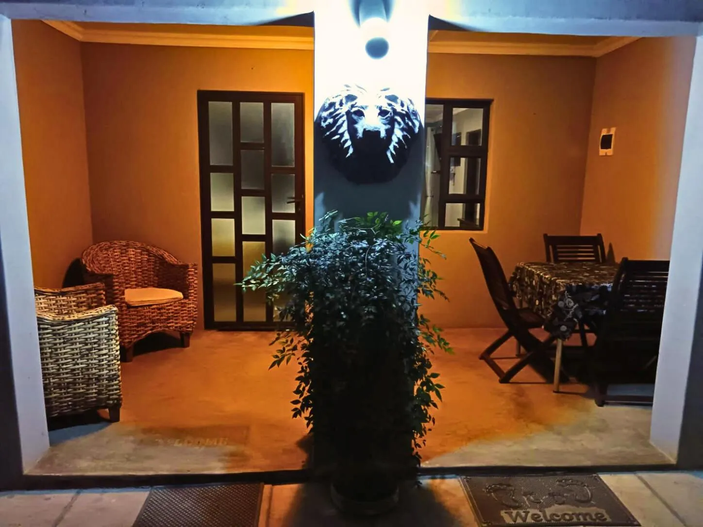 Patio in The Wilds Guest House