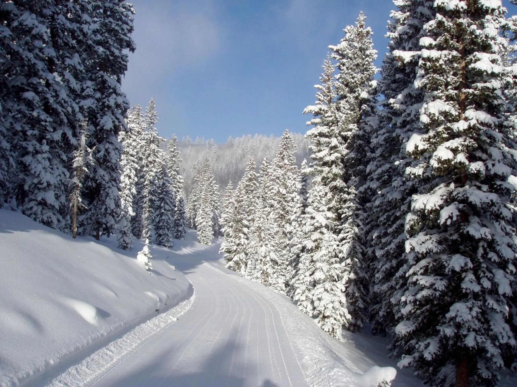 Area and facilities in Daniels Summit Lodge
