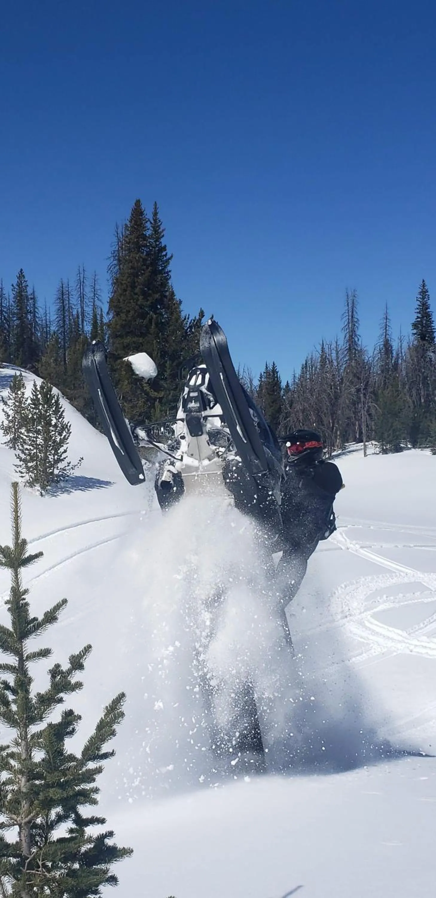 Natural landscape in Stagecoach Inn & Suites