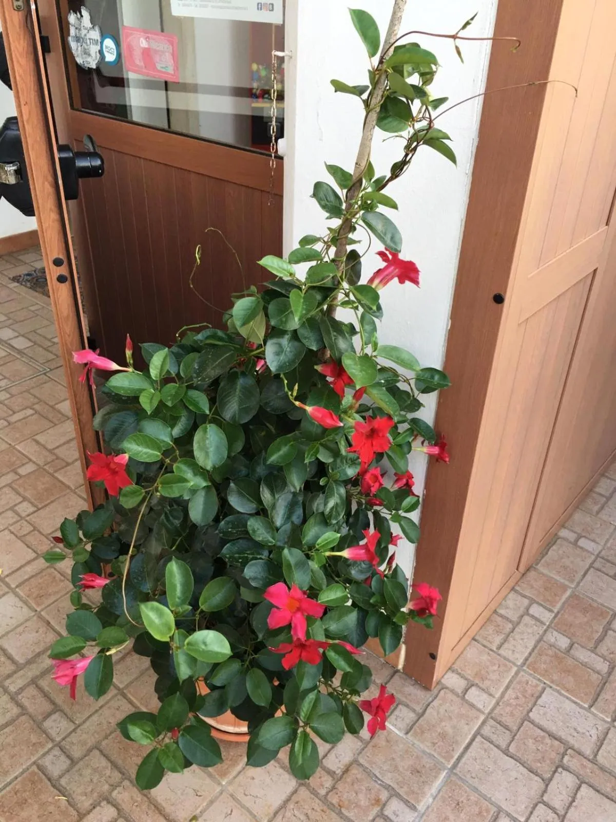 Restaurant/places to eat in U’ Fore B&B Relax garden