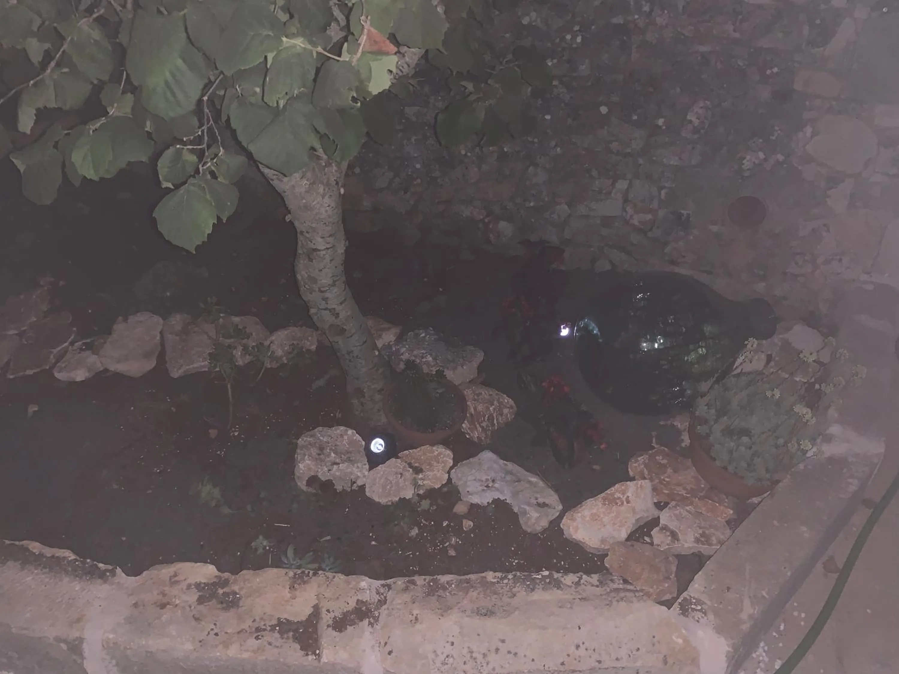 Garden in U’ Fore B&B Relax garden