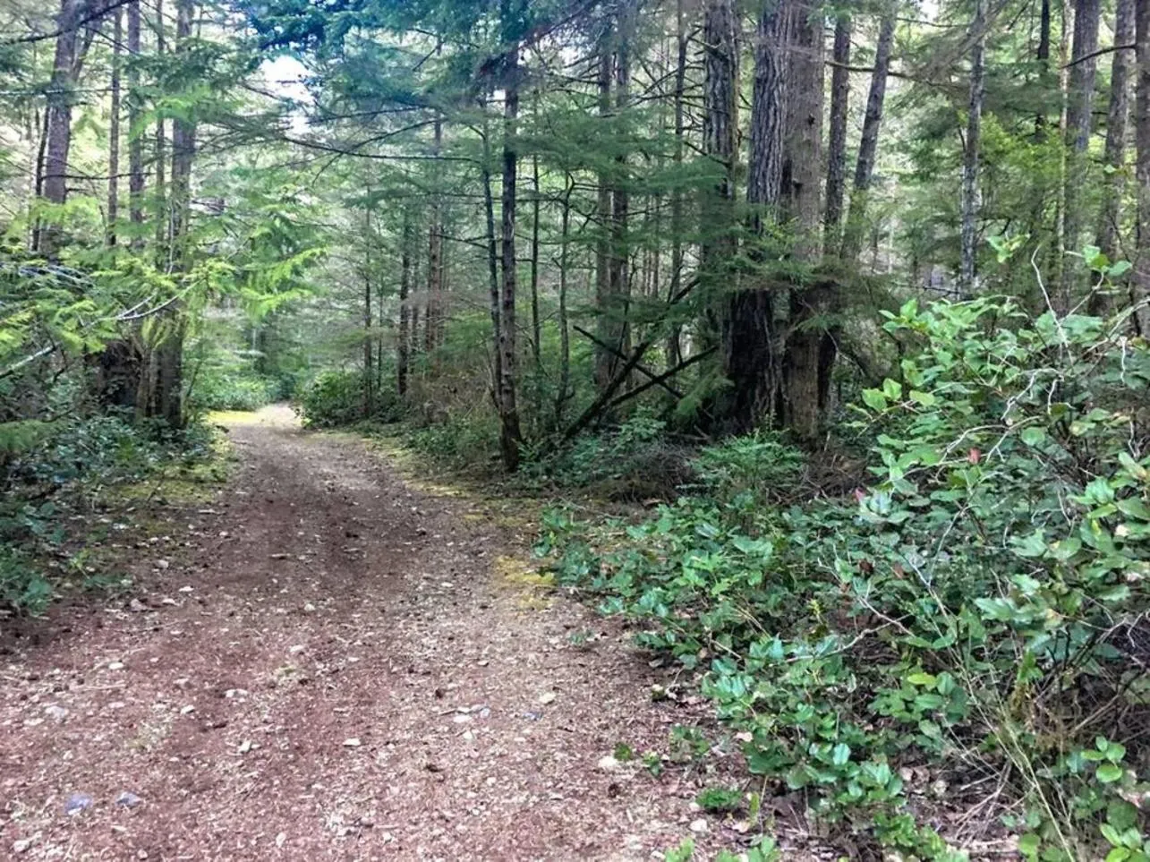 The Great Escape - Shirley