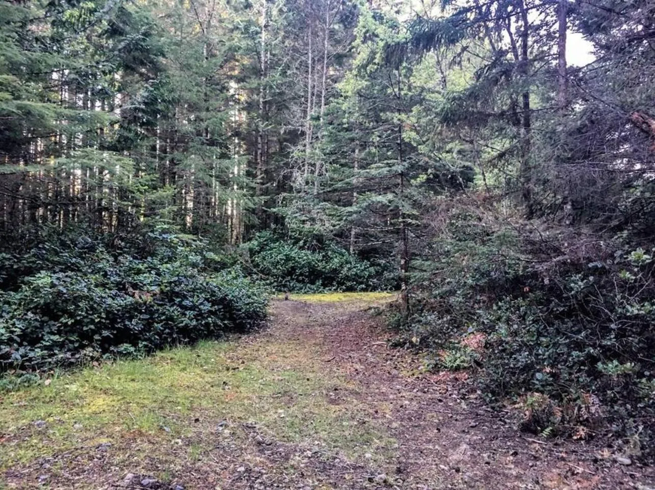 The Great Escape - Shirley