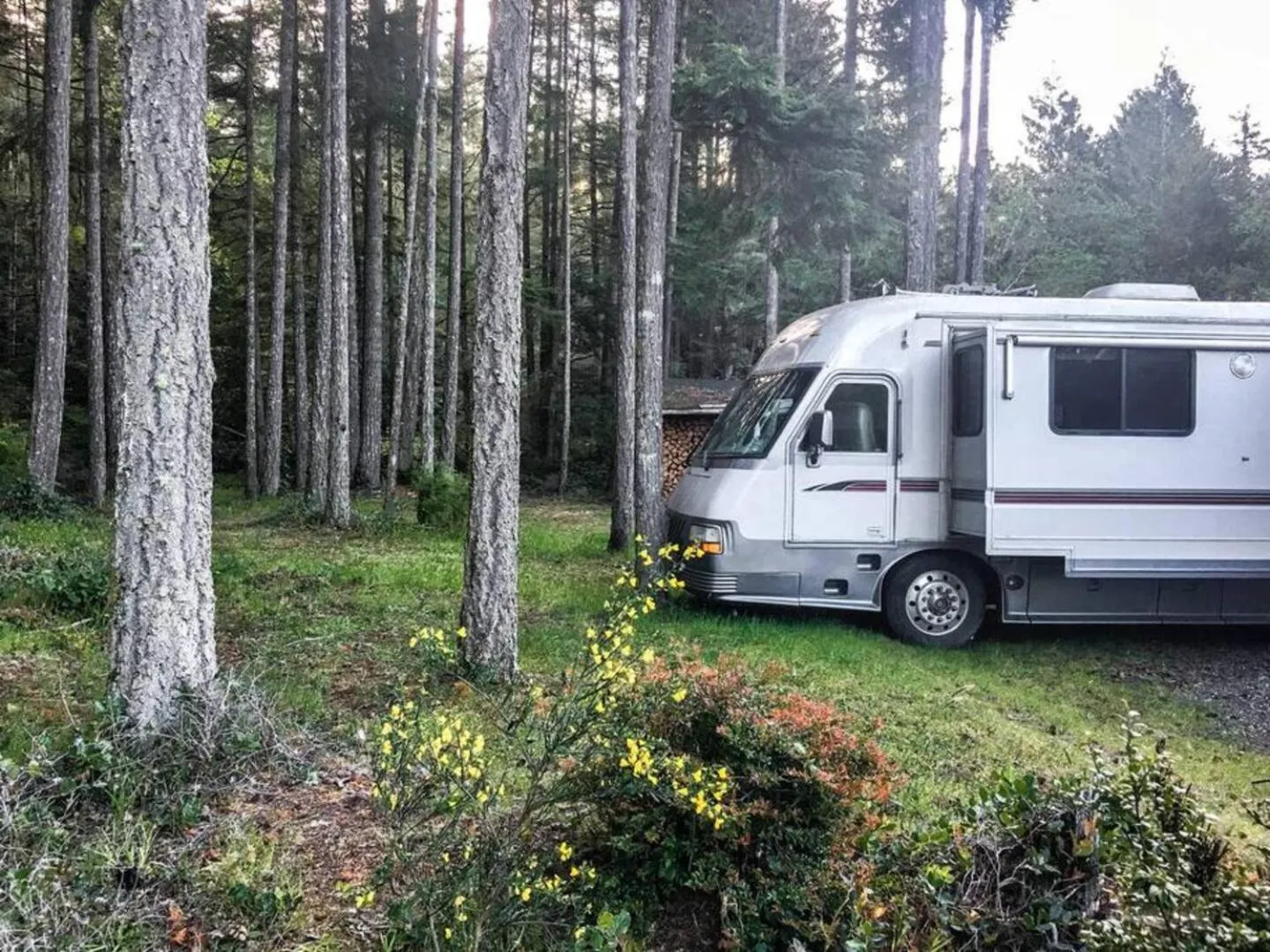 The Great Escape - Shirley