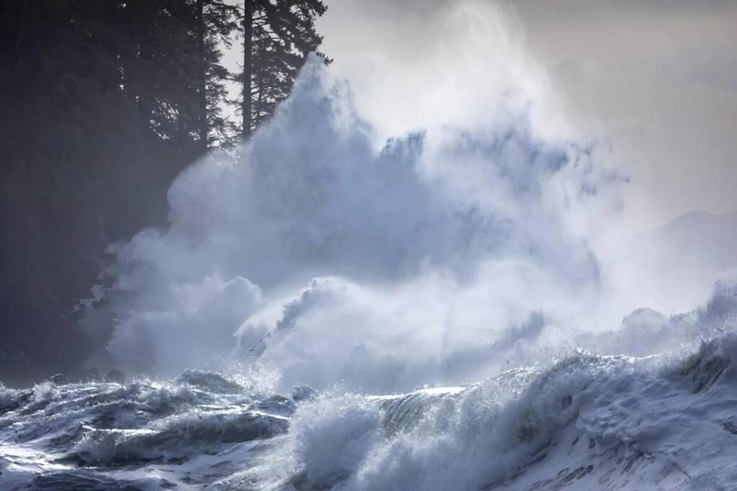 The Great Escape - Shirley