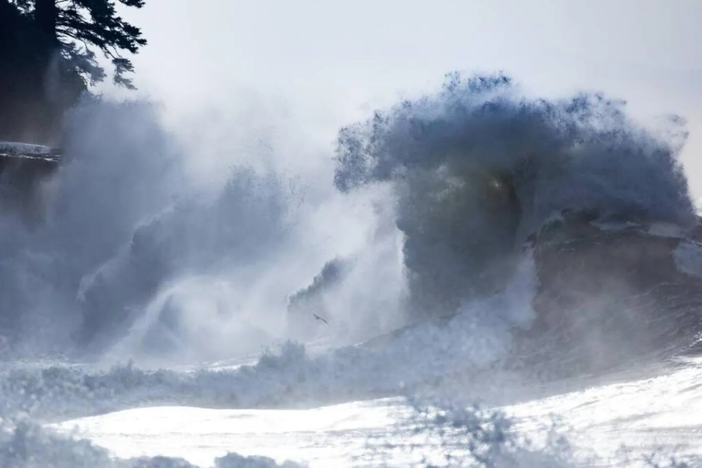 The Great Escape - Shirley