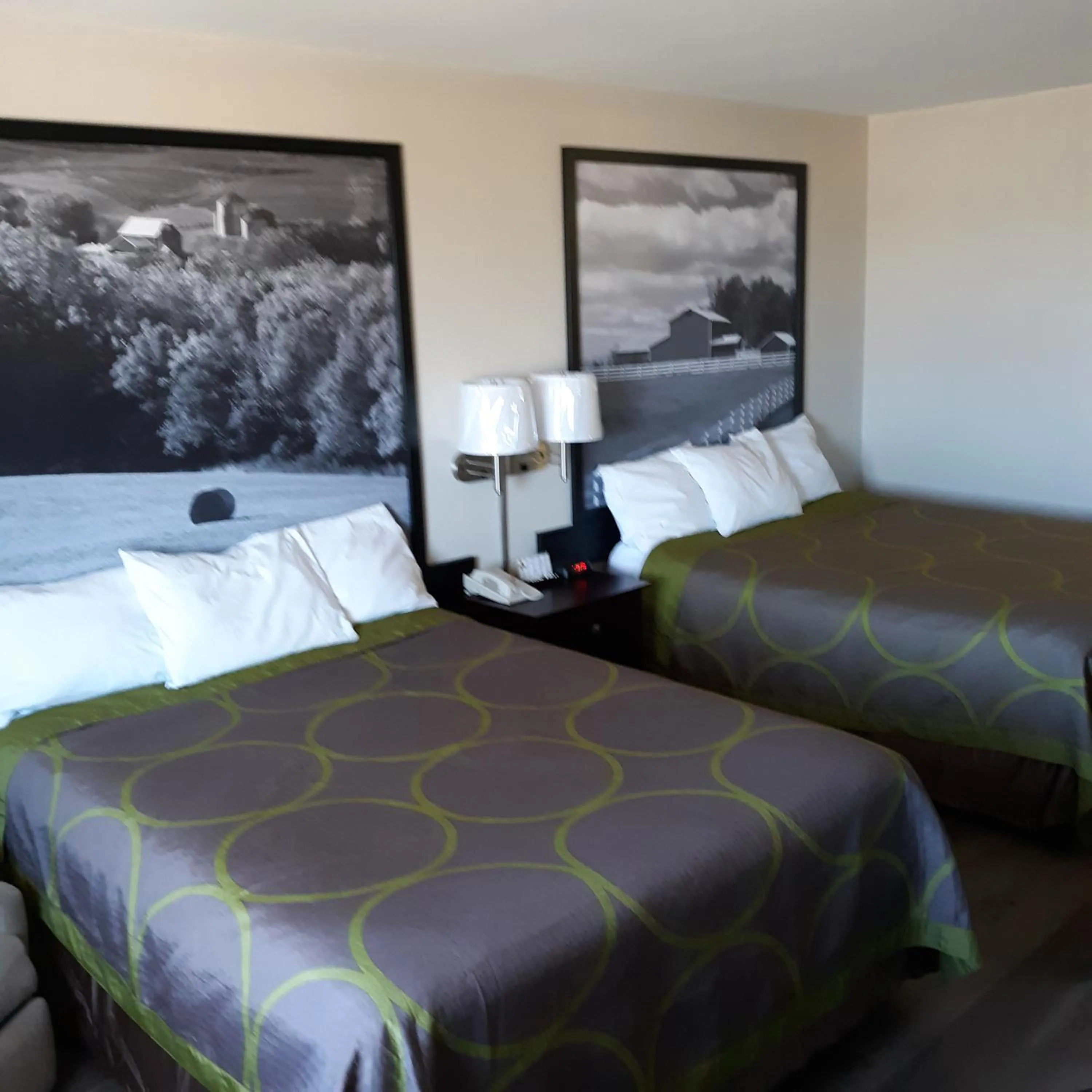 Photo of the whole room, Bed in Super 8 by Wyndham Bethany MO