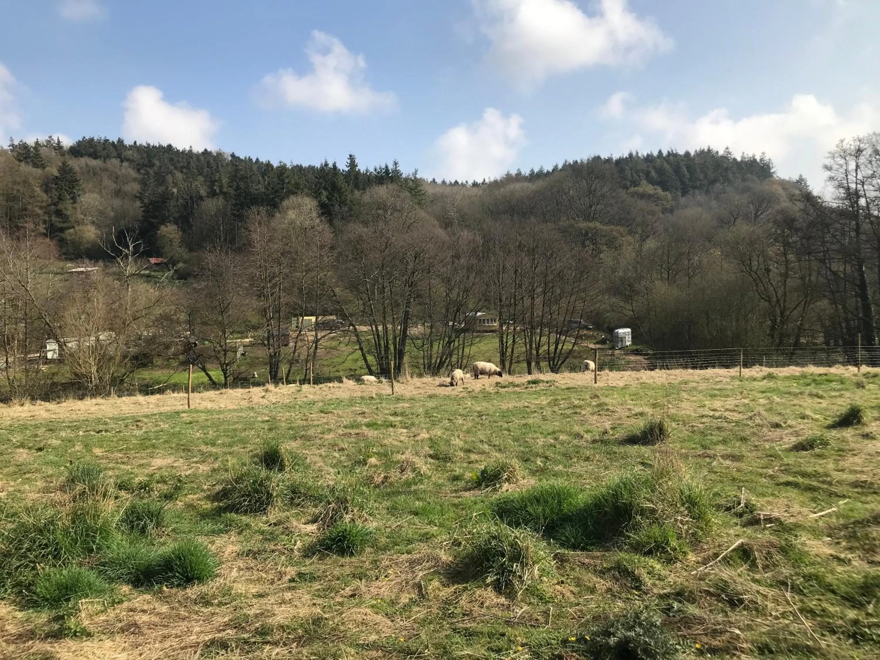 Shepherds Huts Ham Hill, 2 double beds, Bathroom, Lounge, Diner, Kitchen, LOVE dogs & Cats Looking out to lake and by Ham Hill Country Park plus parking for large vehicles available also great deals on workers long term This is the place to relax and BBQ