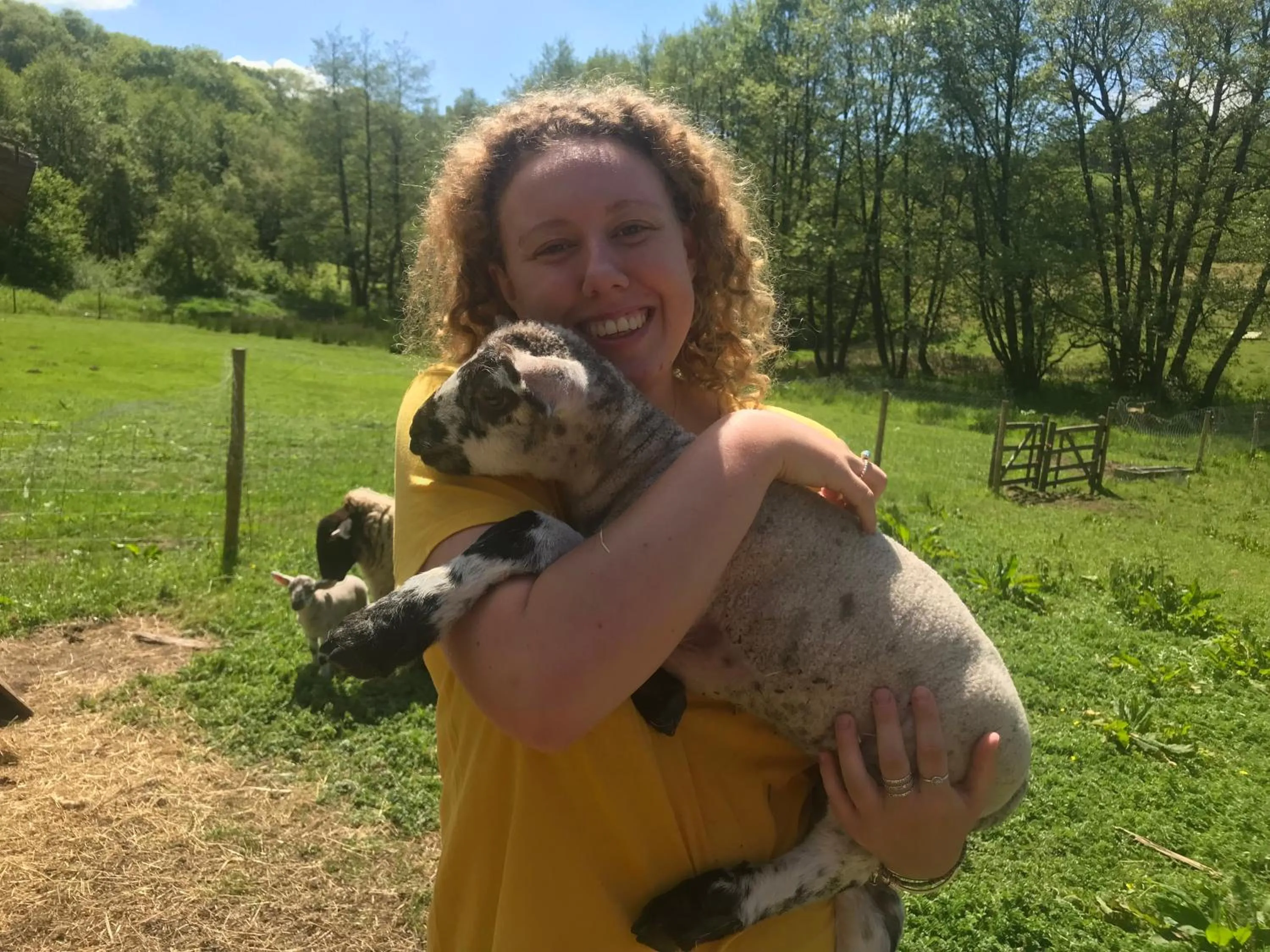 Shepherds Huts Ham Hill, 2 double beds, Bathroom, Lounge, Diner, Kitchen, LOVE dogs & Cats Looking out to lake and by Ham Hill Country Park plus parking for large vehicles available also great deals on workers long term This is the place to relax and BBQ