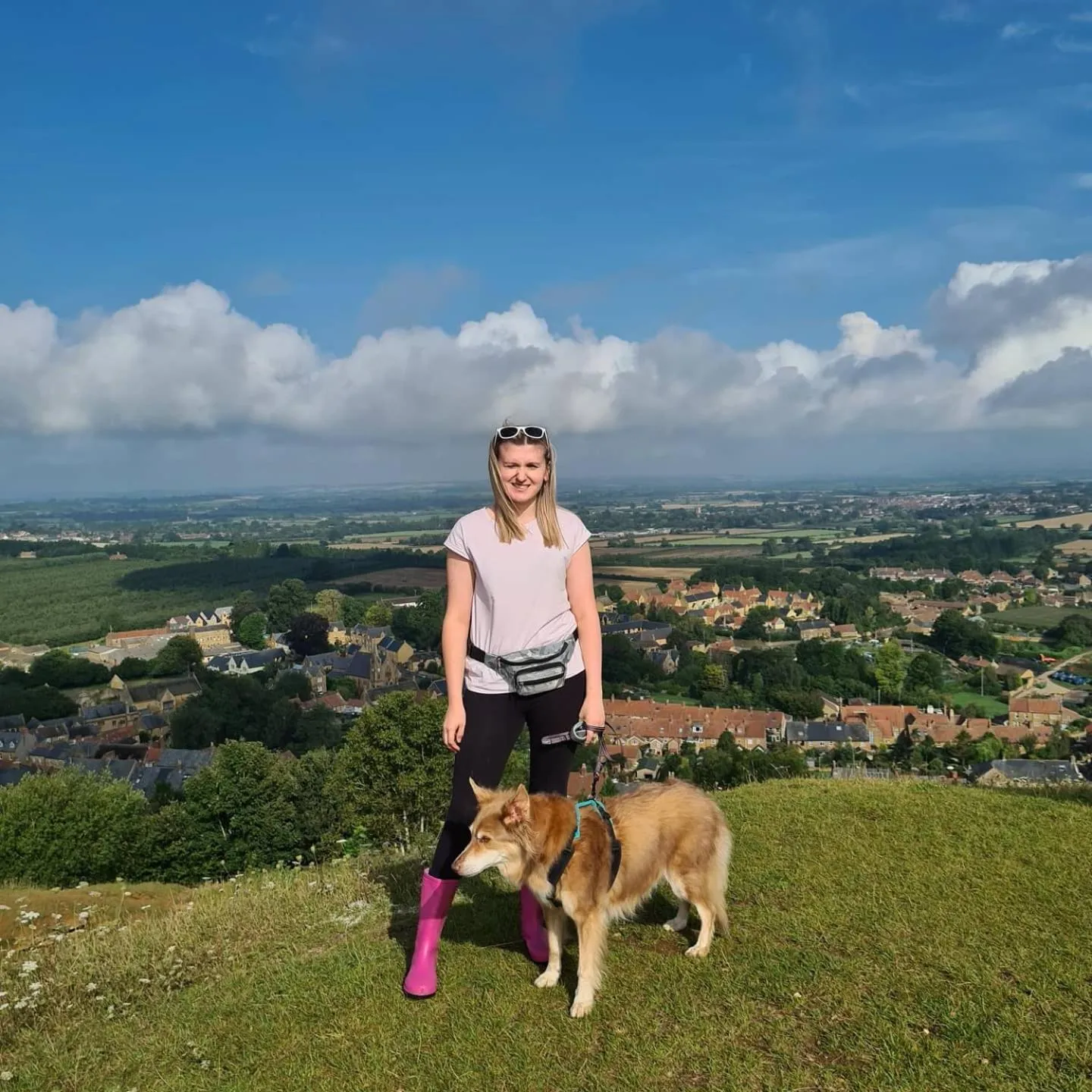 Shepherds Huts Ham Hill, 2 double beds, Bathroom, Lounge, Diner, Kitchen, LOVE dogs & Cats Looking out to lake and by Ham Hill Country Park plus parking for large vehicles available also great deals on workers long term This is the place to relax and BBQ