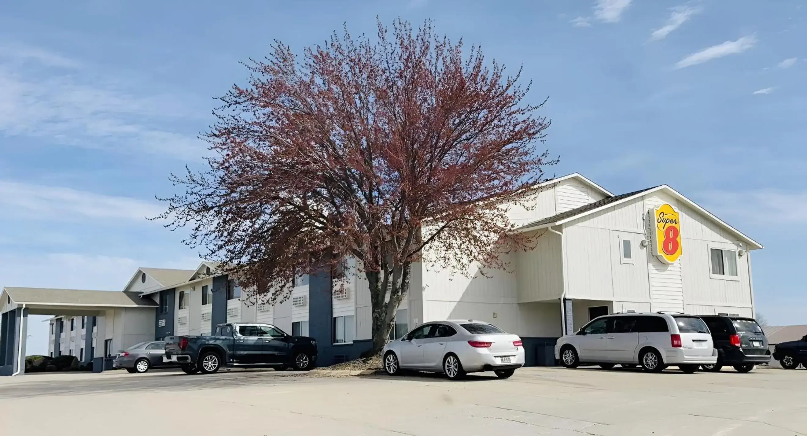 Studio Suite with Two Double Beds - Non-Smoking in Super 8 by Wyndham Smithville Kansas City Studio Suite with Two Double Beds - Non-Smoking in Super 8 by Wyndham Smithville Kansas City