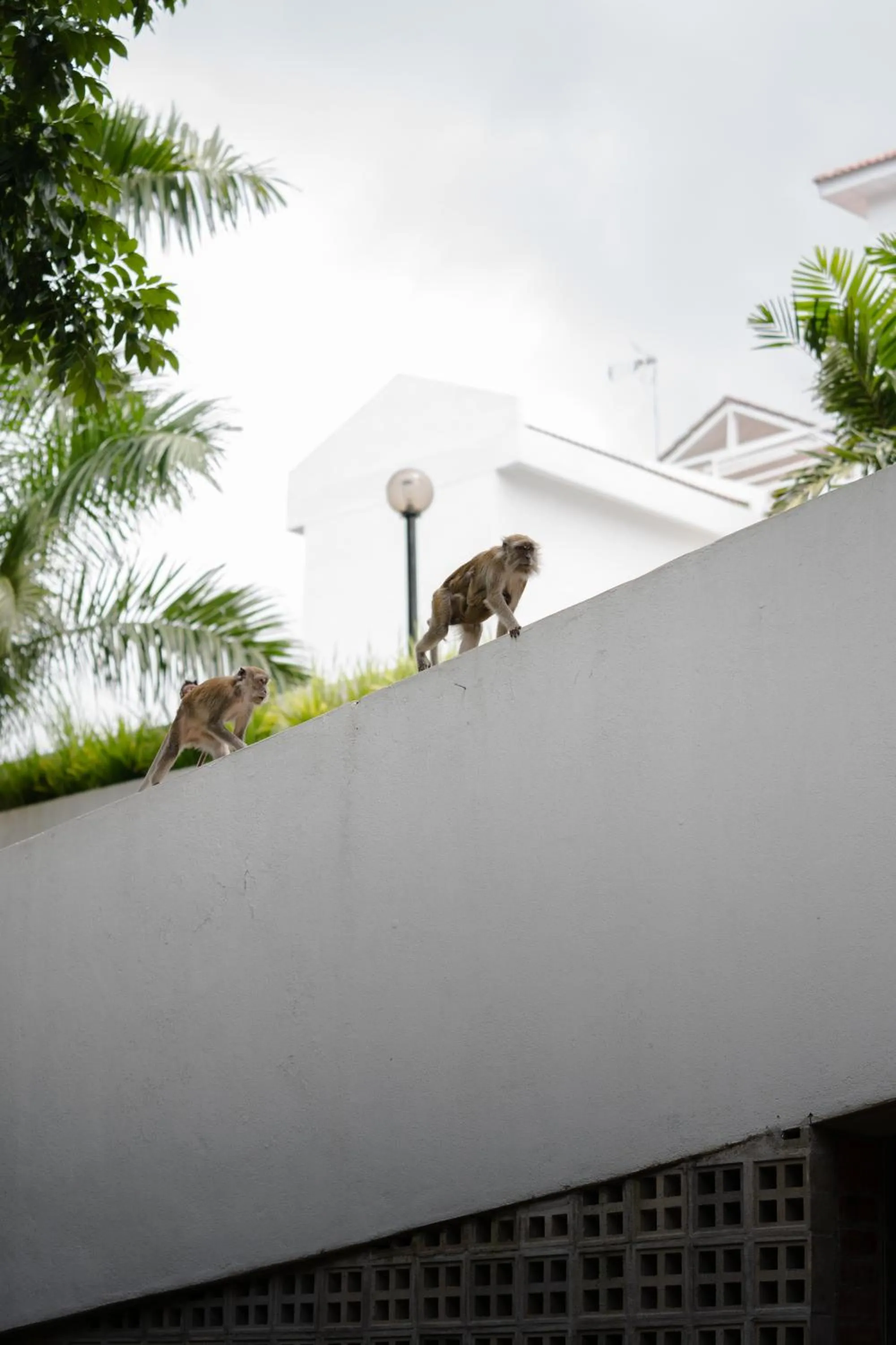 Natural landscape in Genting View Resort