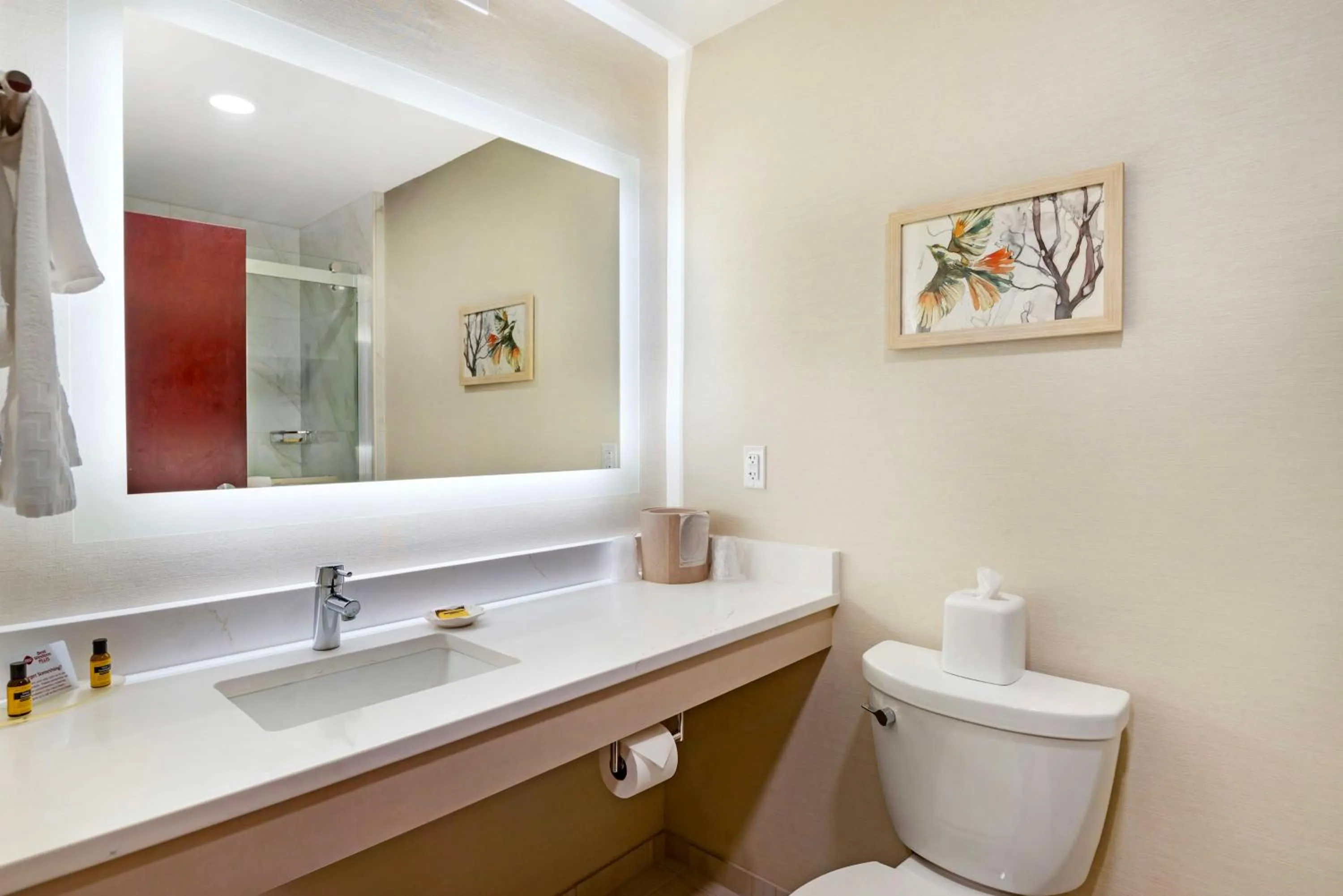 Bathroom in Best Western Plus Crossroads Inn & Suites