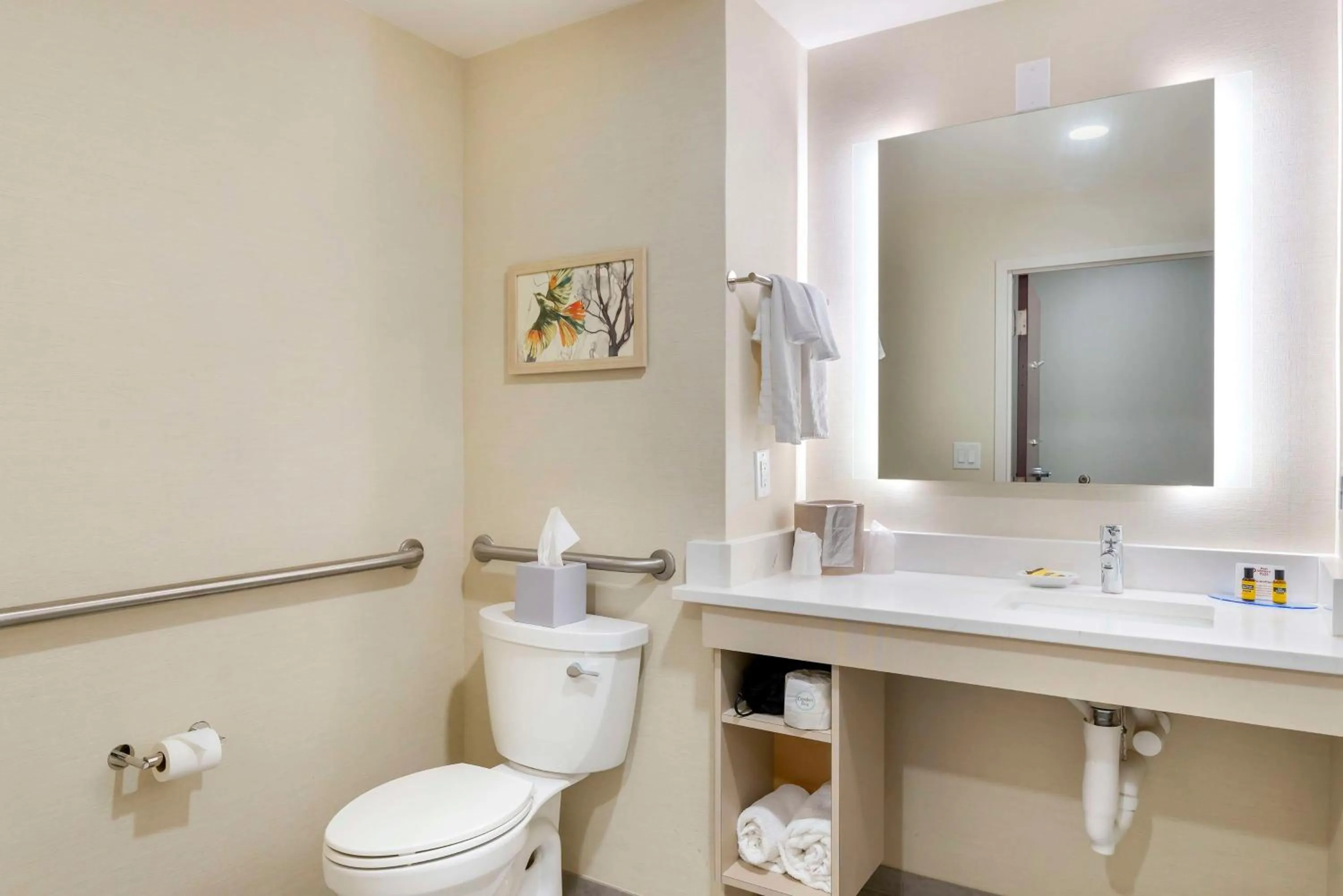 Bathroom in Best Western Plus Crossroads Inn & Suites