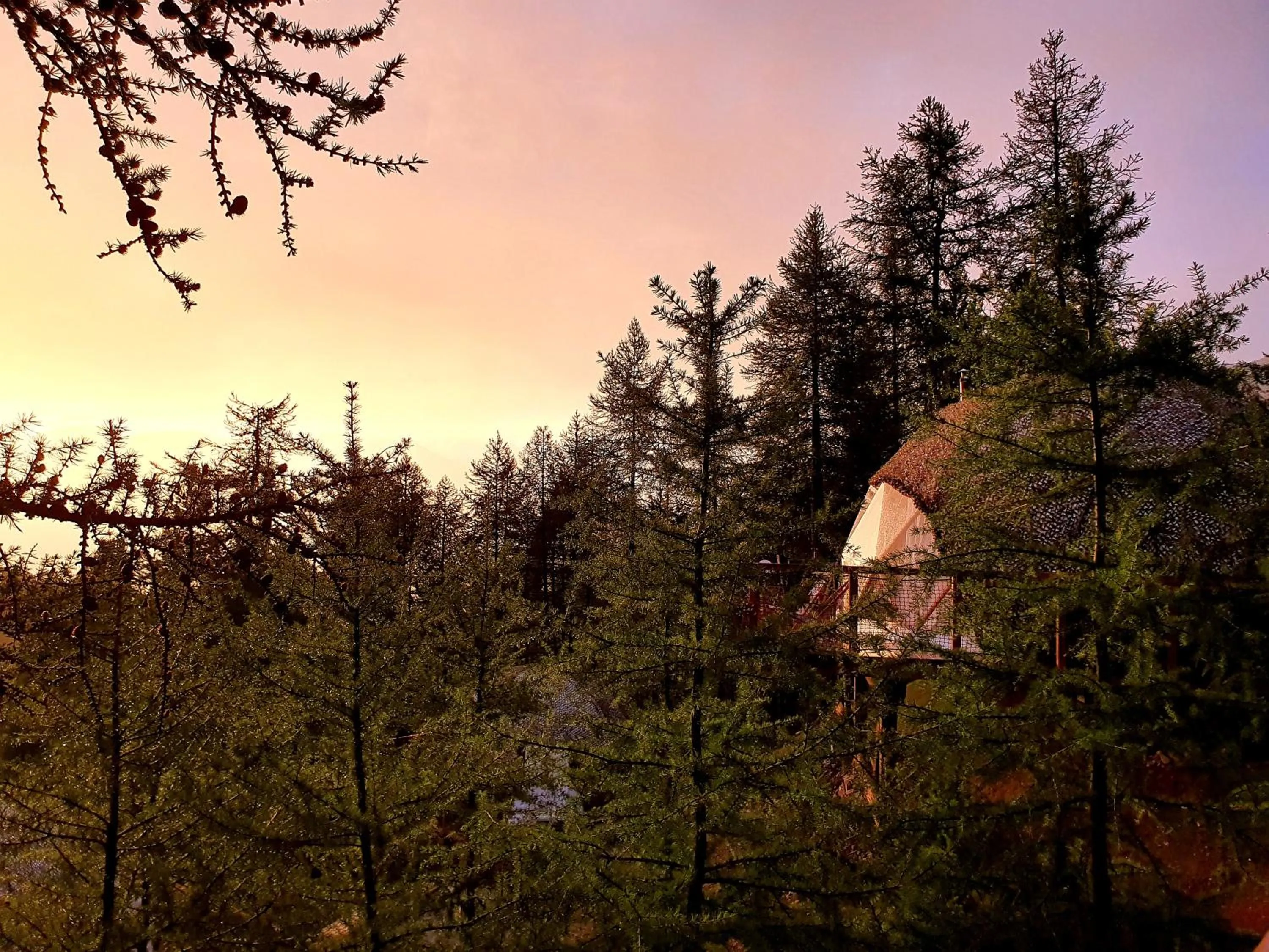 Natural landscape in Alpin D'Hôme Hôtel & Spa