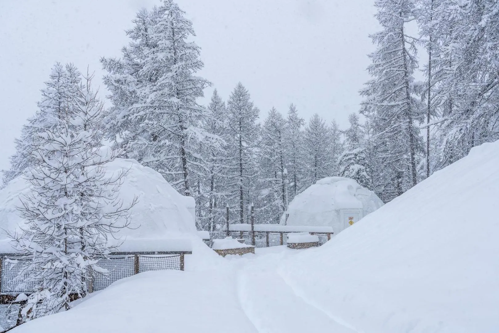 Alpin D'Hôme Hôtel & Spa