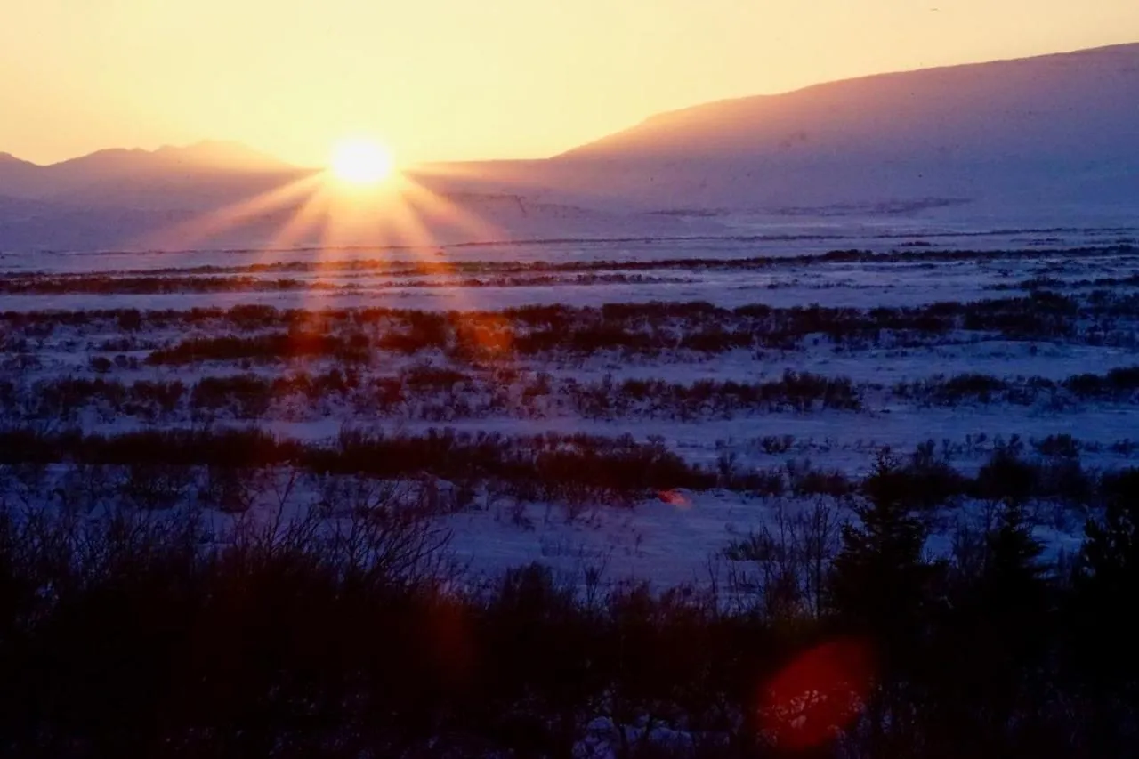 Natural landscape in Mulakot Cosy Cabins