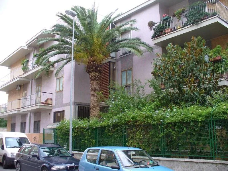 Gatto Bianco Picone 19