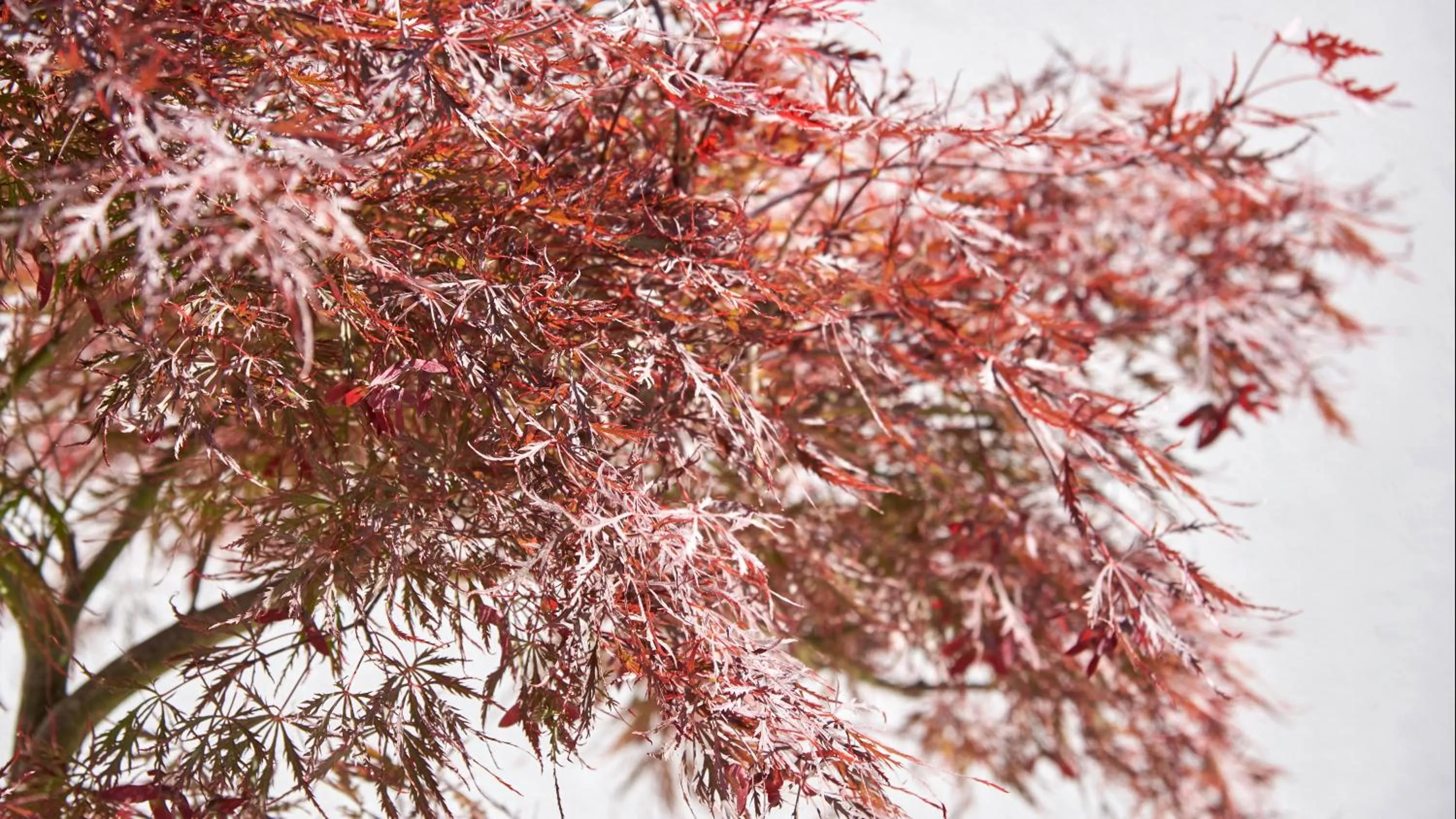 Property building in Maison Tiegezh