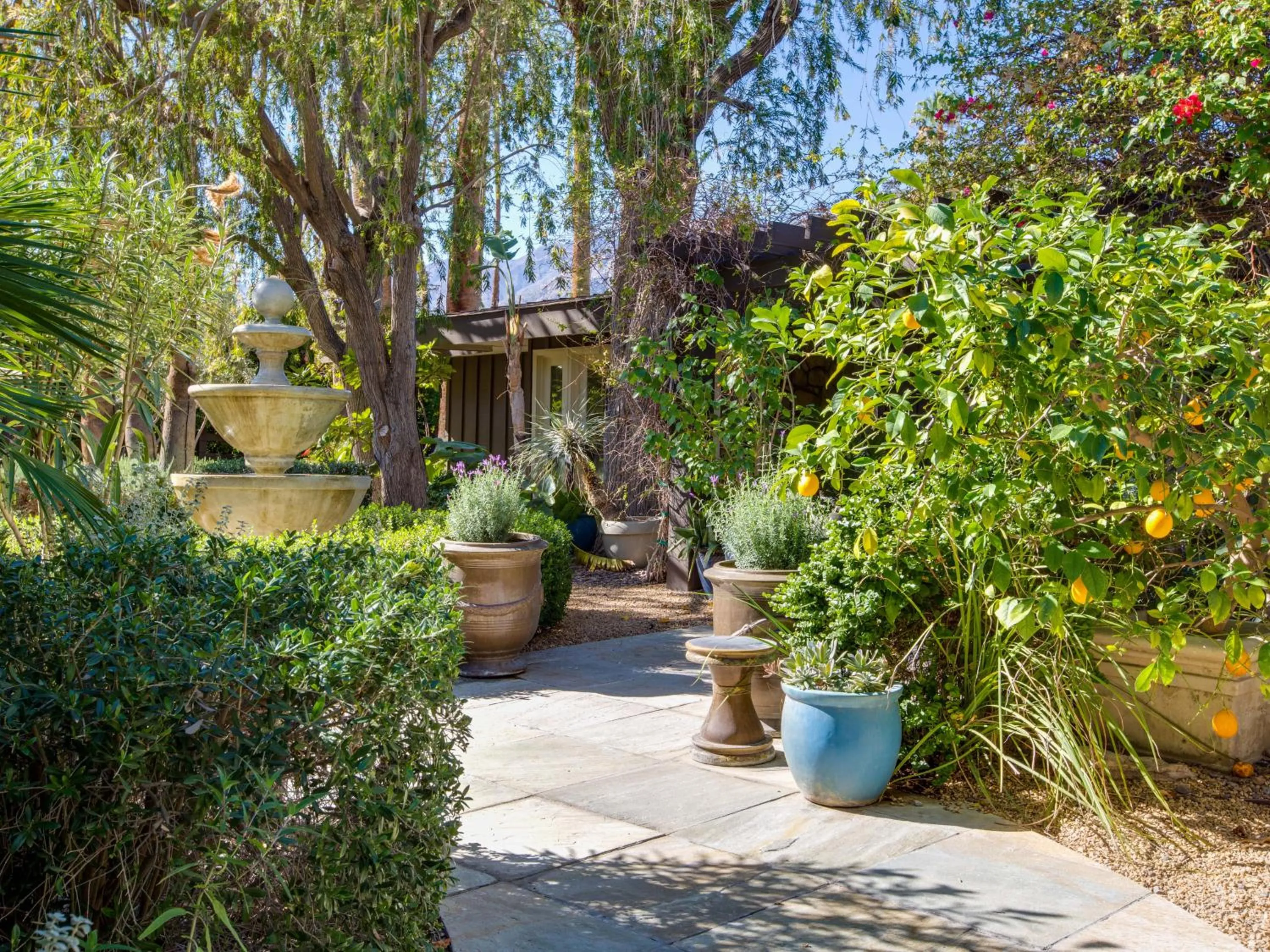 Serendipity in Deepwell by ACME House Company