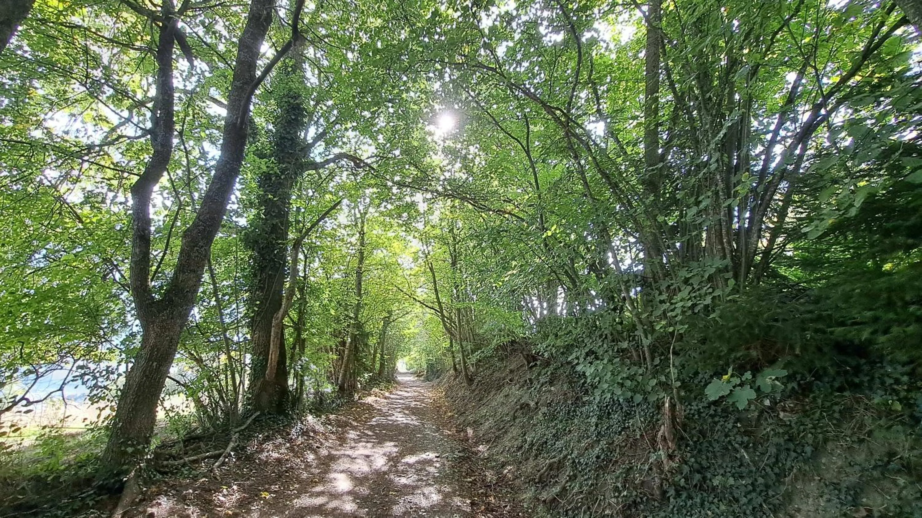 Hiking in Chalet Diognysos B&B, Boutique Hotel & Wellness