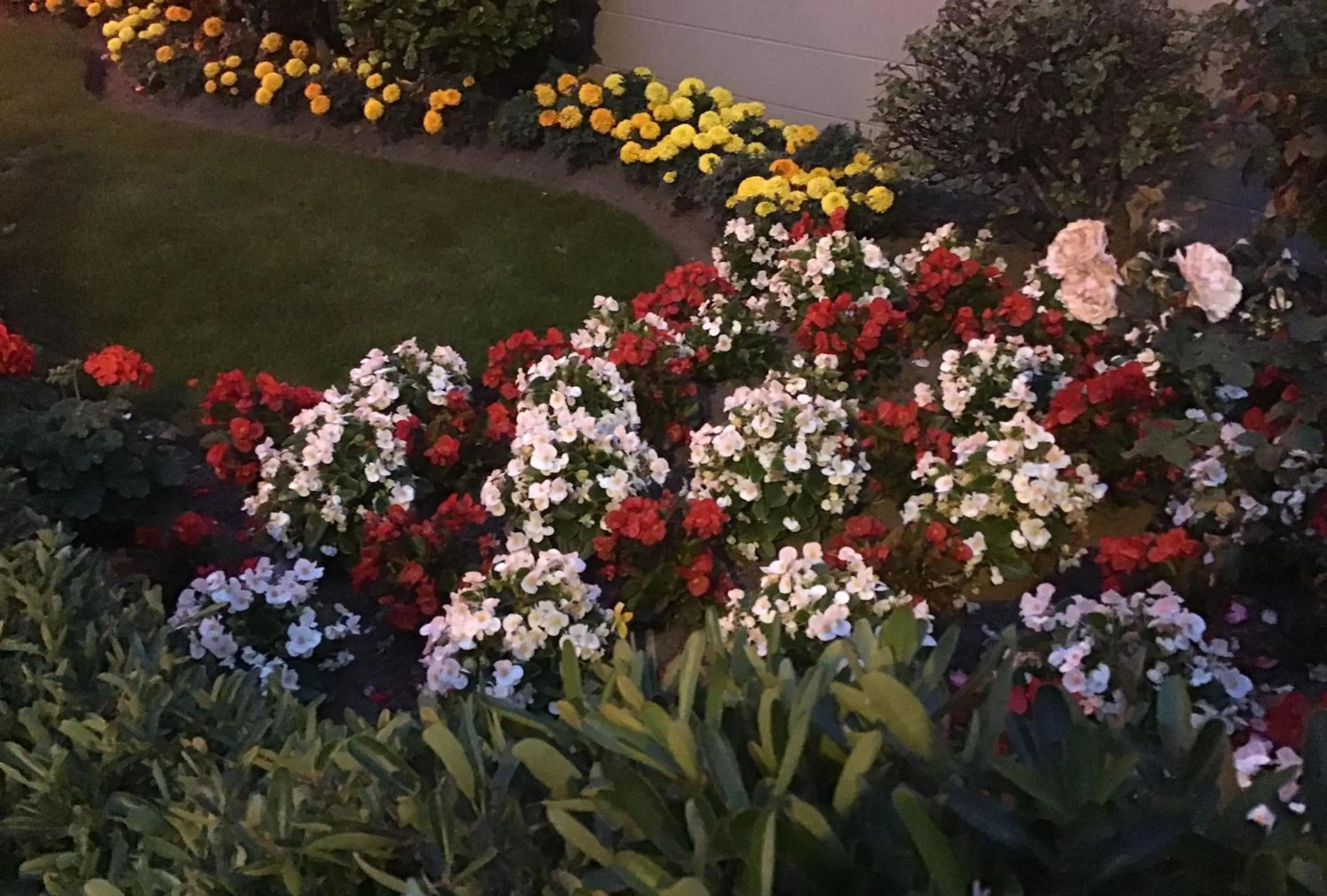 Garden in Avon City Motel