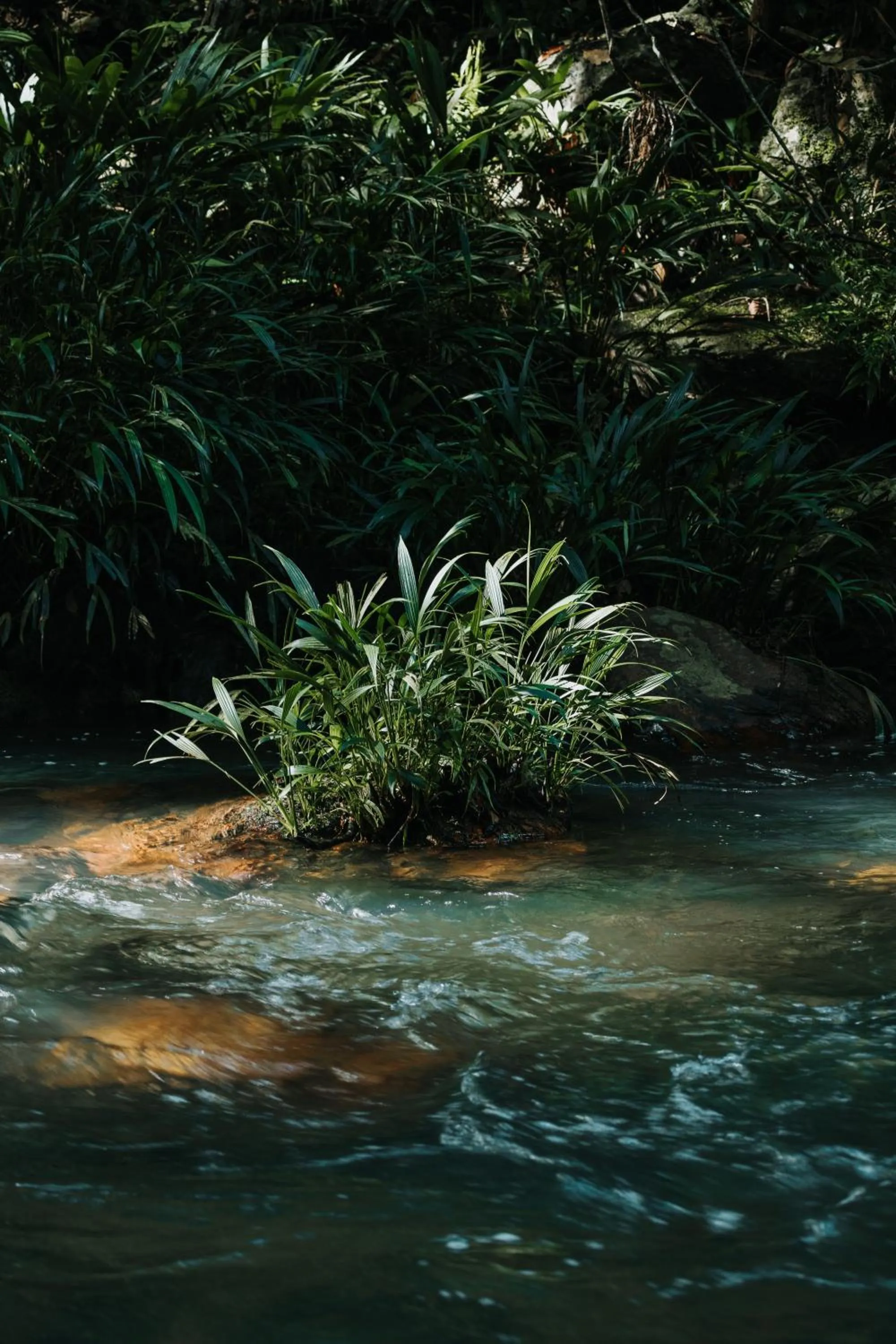 Natural landscape in El Rio Hotel