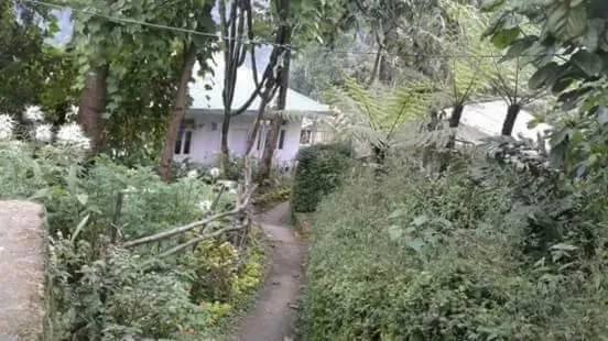 Garden in Yakchiri Homestay