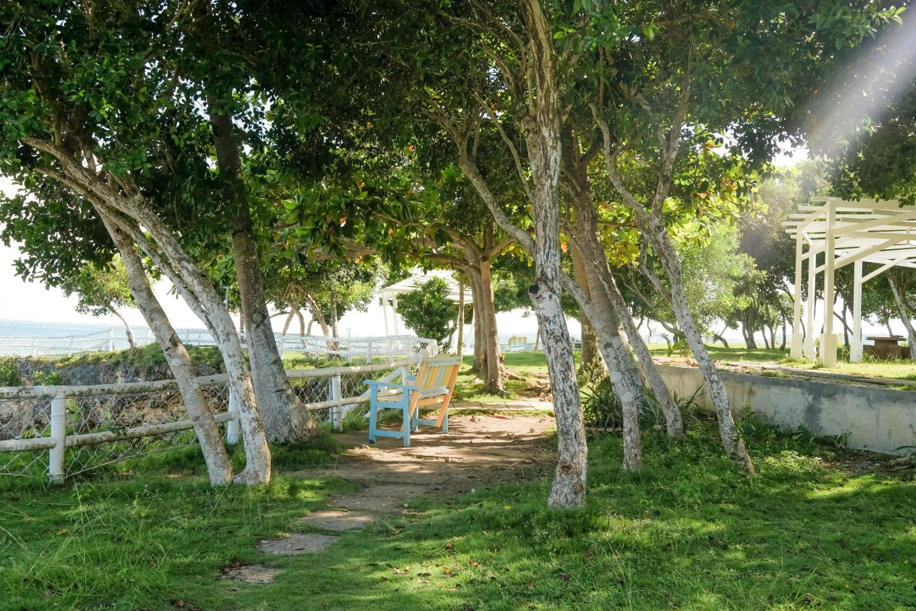 Day in Maayo San Remigio