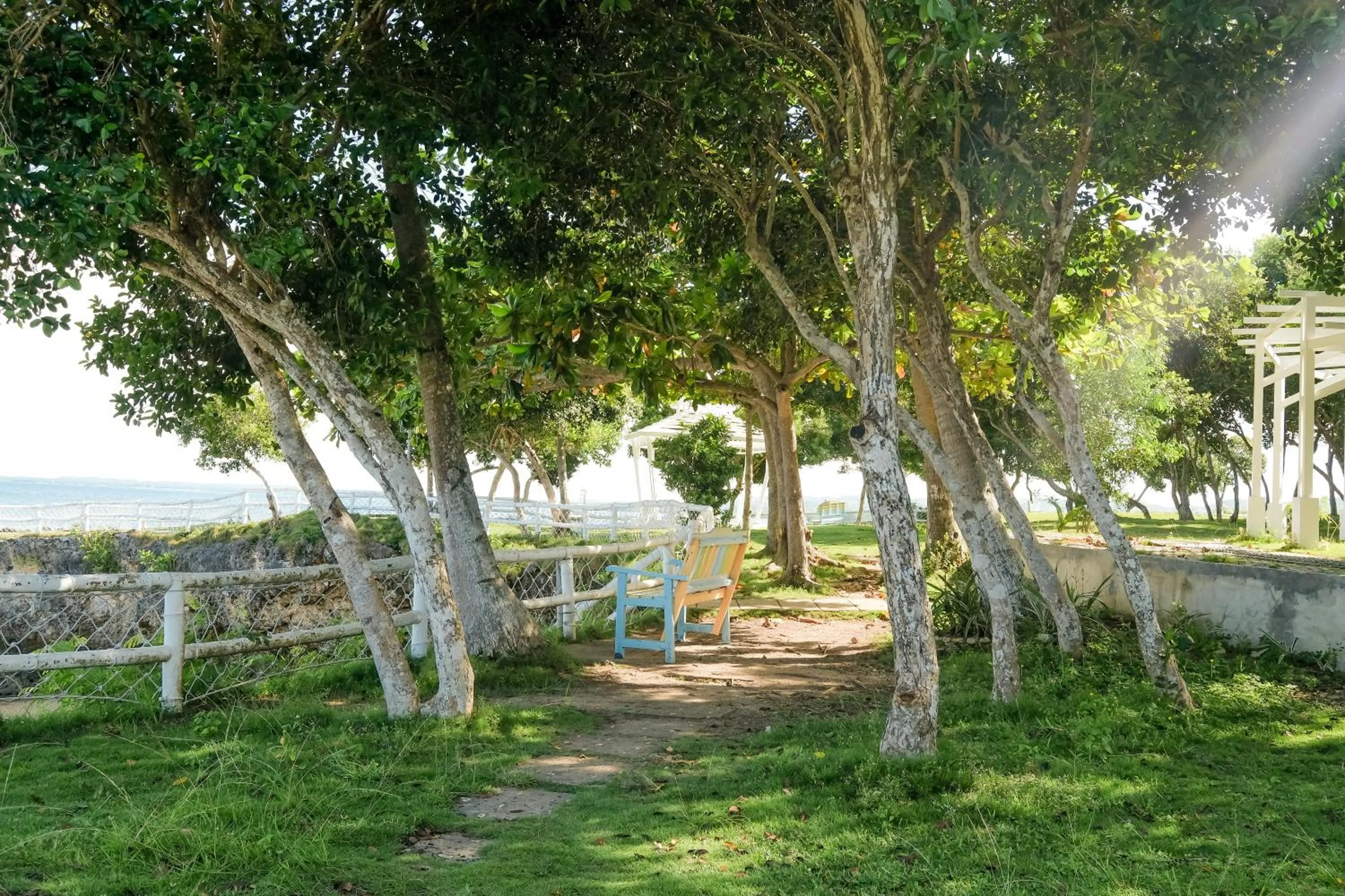Garden in Maayo San Remigio