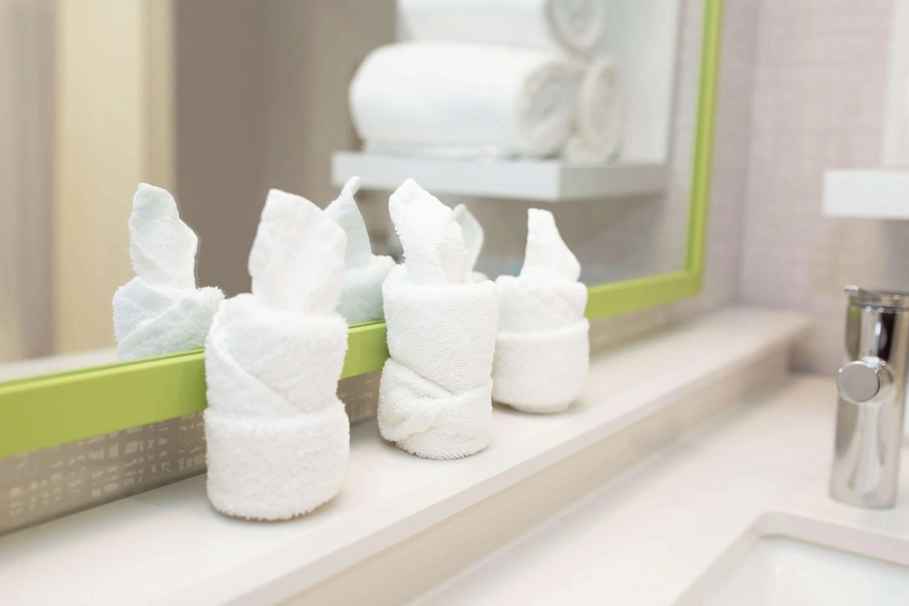 Bathroom in Hampton Inn and Suites Dundee