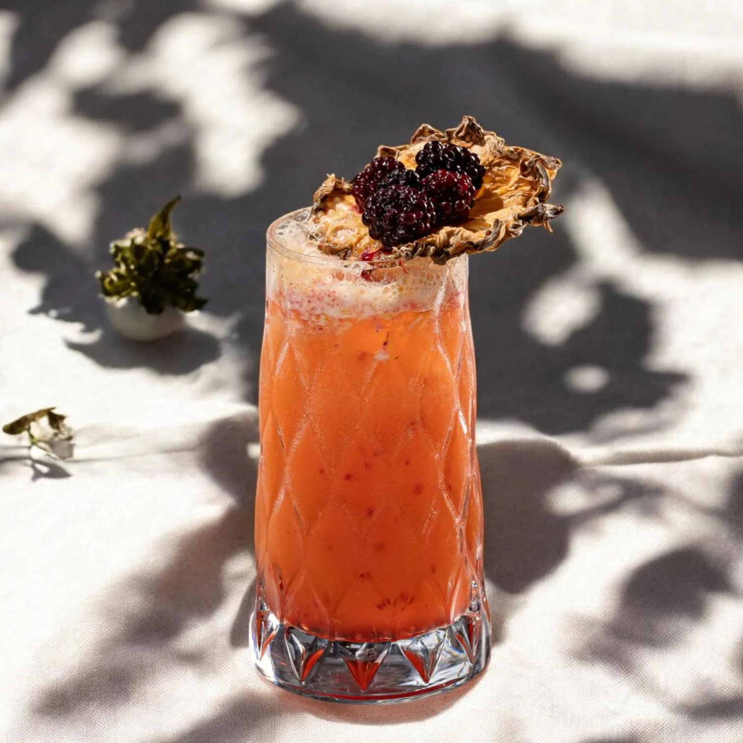 Restaurant/places to eat in Stayso The House Hotel