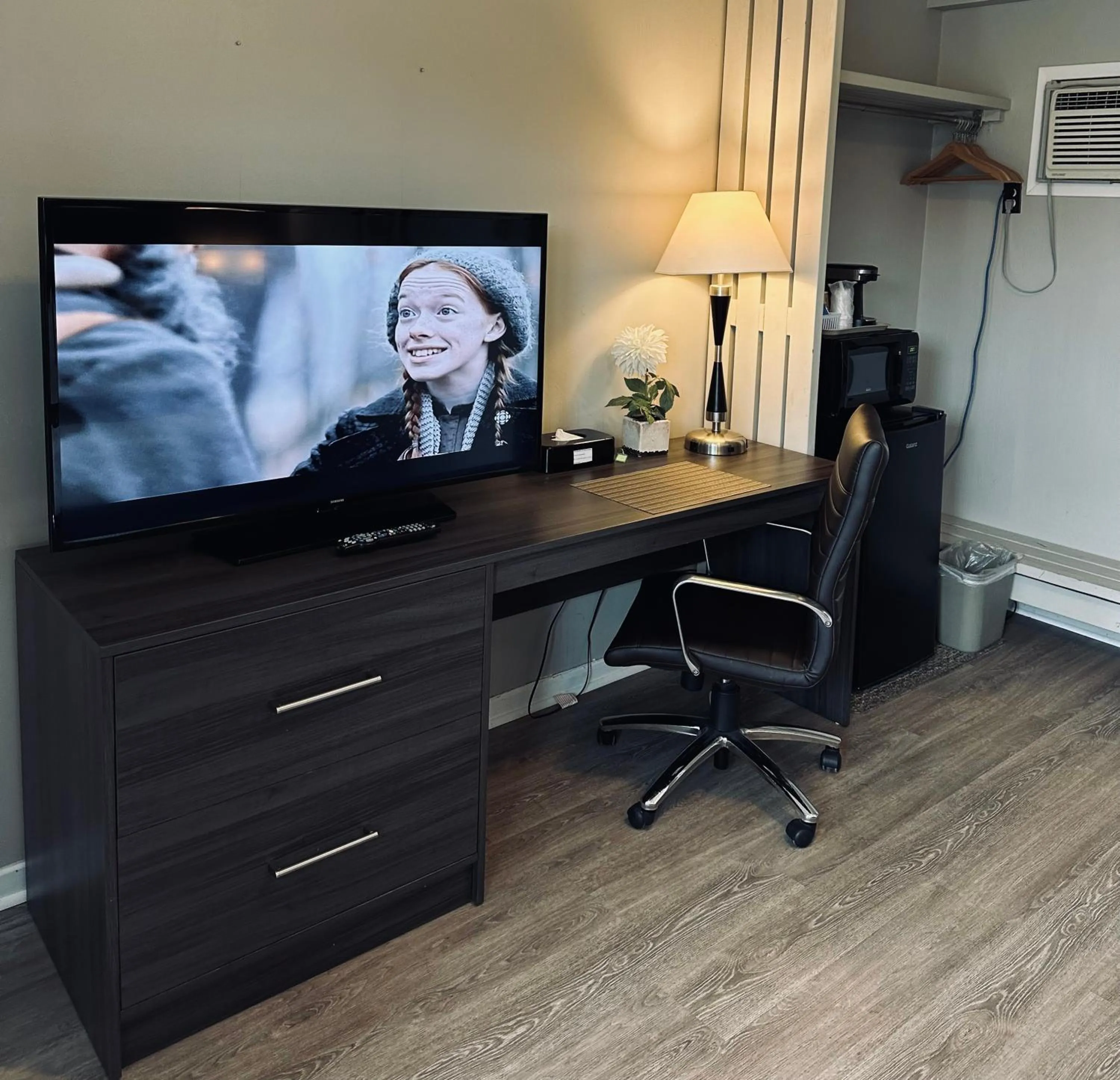 TV and multimedia in Lakeview Motel & Cottage