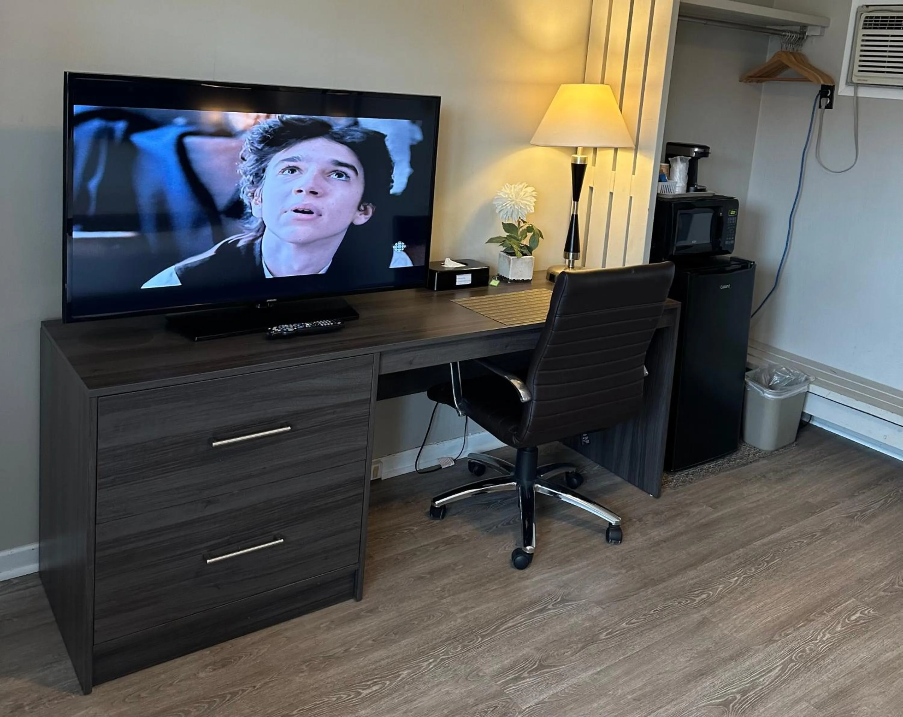 TV and multimedia in Lakeview Motel & Cottage